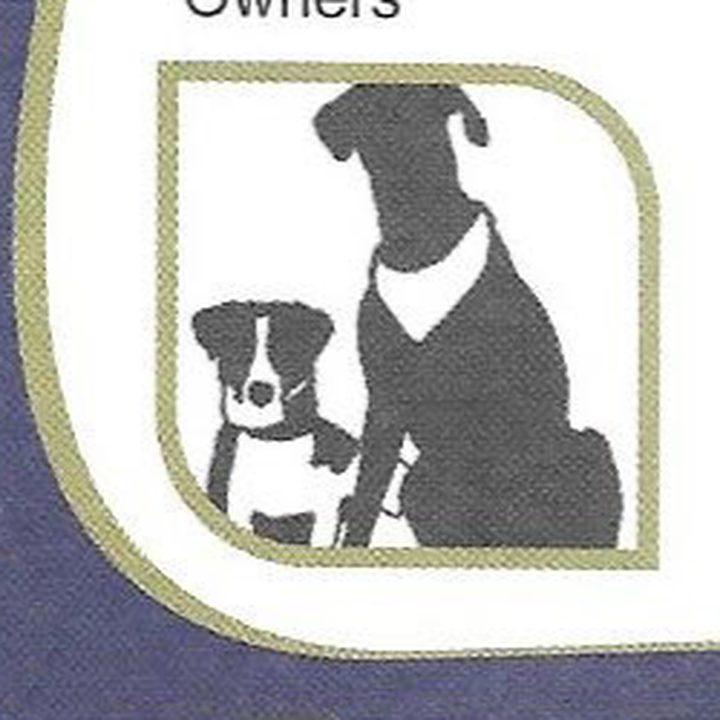 Blue Mountain Dog Camp