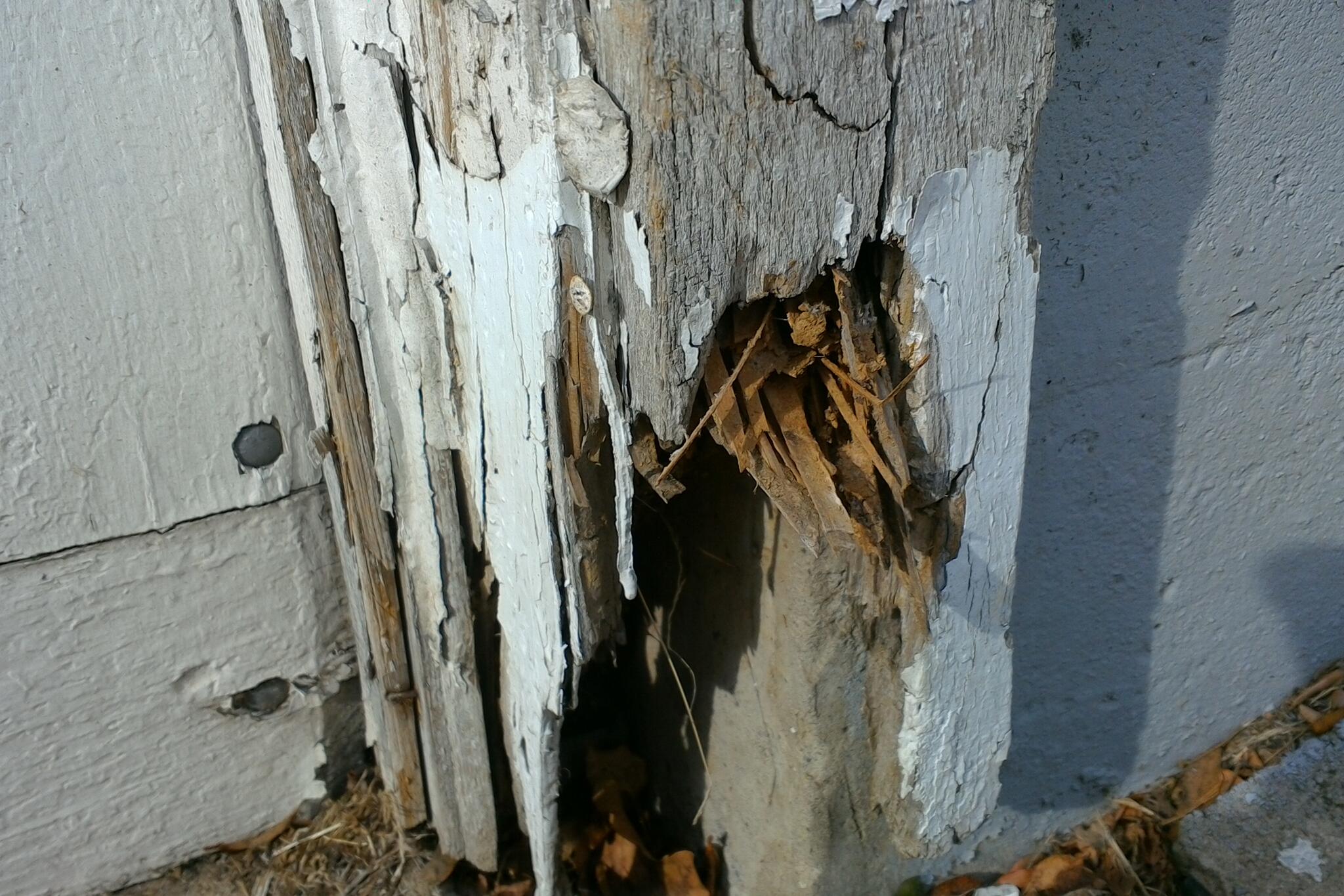 Photo credit: nextdoor