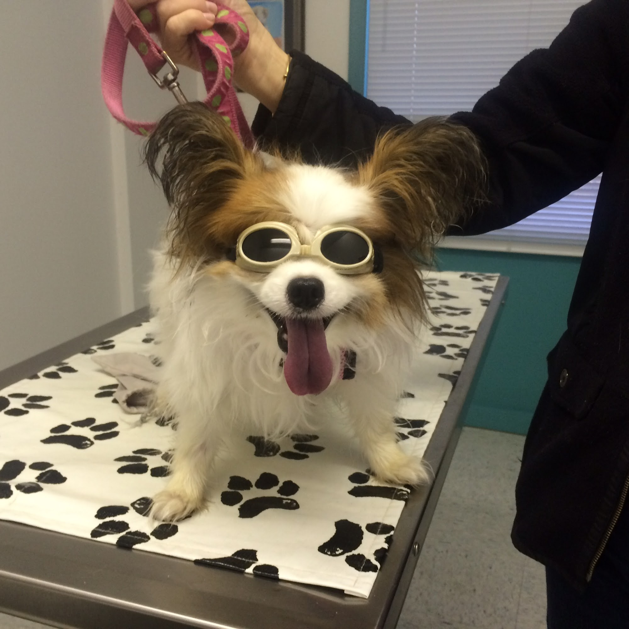 Veterinary Medical Center Blakely