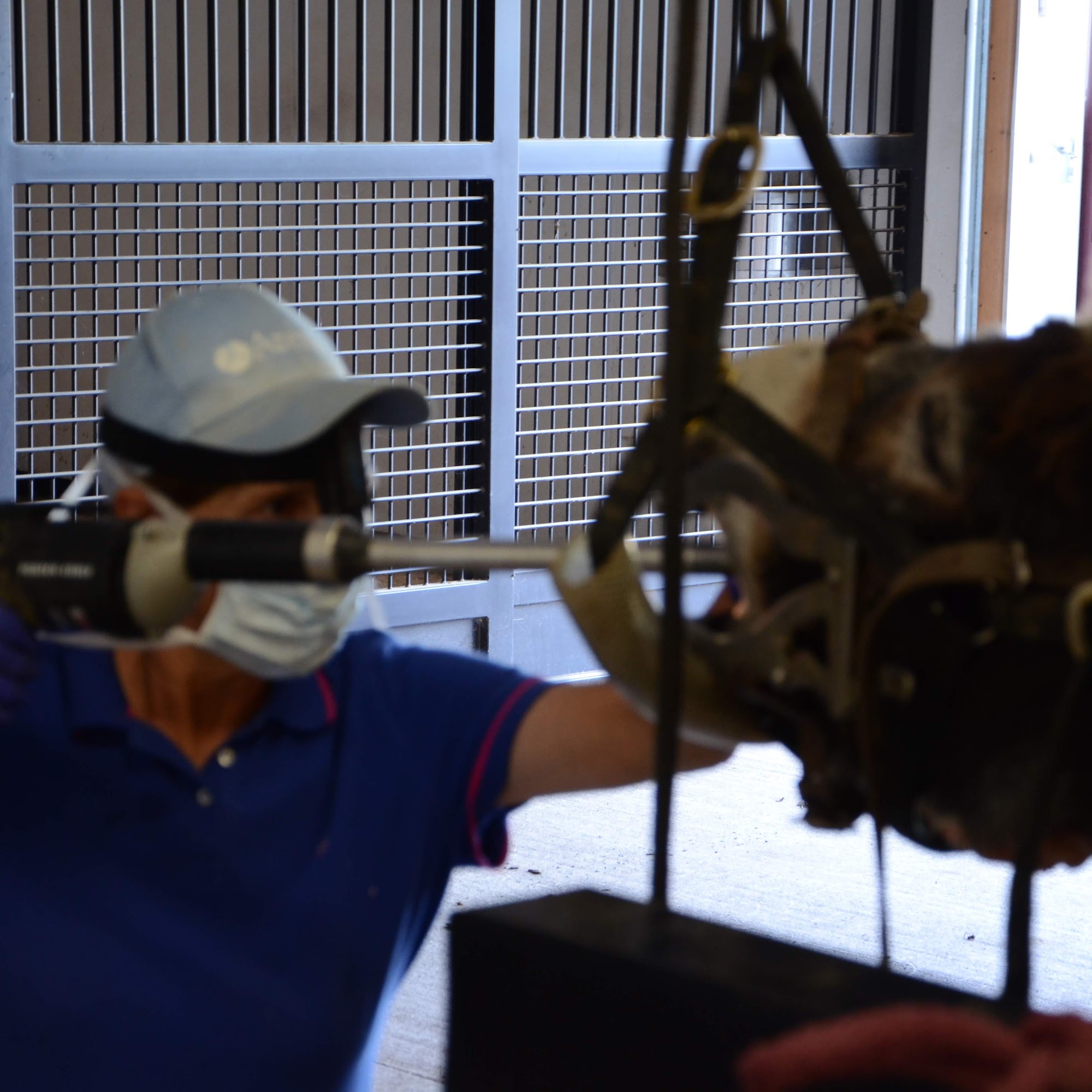 Quodomine Veterinary Services Bloomsburg