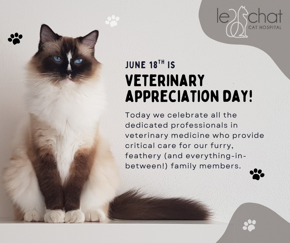 Le Chat Cat Hospital- Dr. Kathleen Small Blue Bell