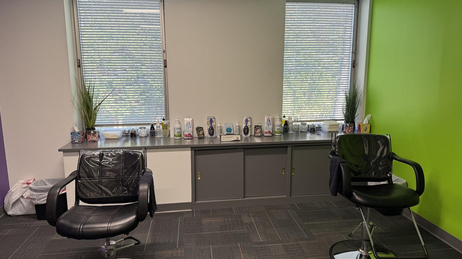 Lice Lifters Of Montgomery County - Lice Treatment and Lice Removal 490 Norristown Rd #153, Blue Bell Pennsylvania 19422