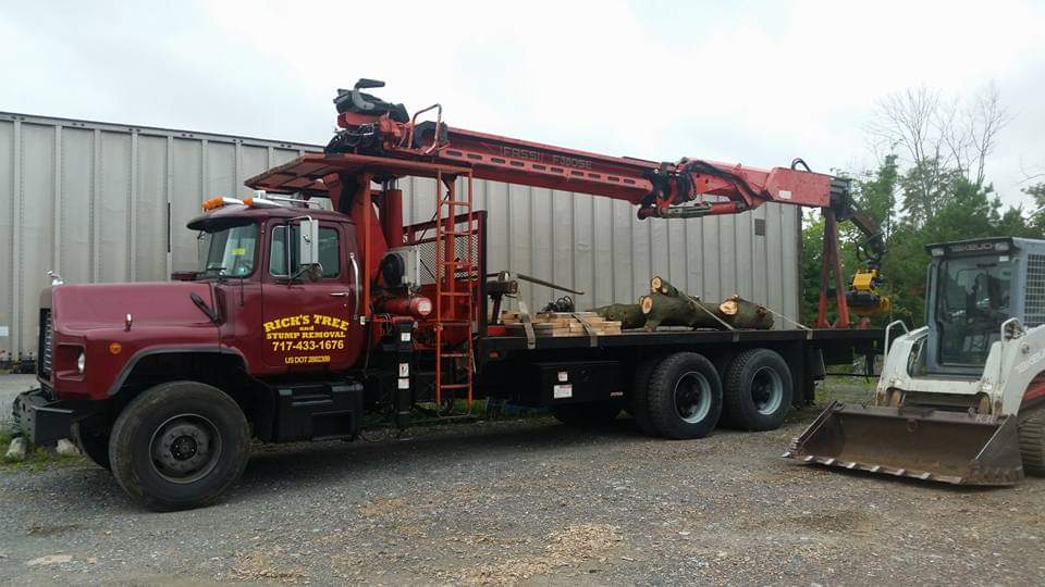 Rick & Sons Tree & Stump Removal