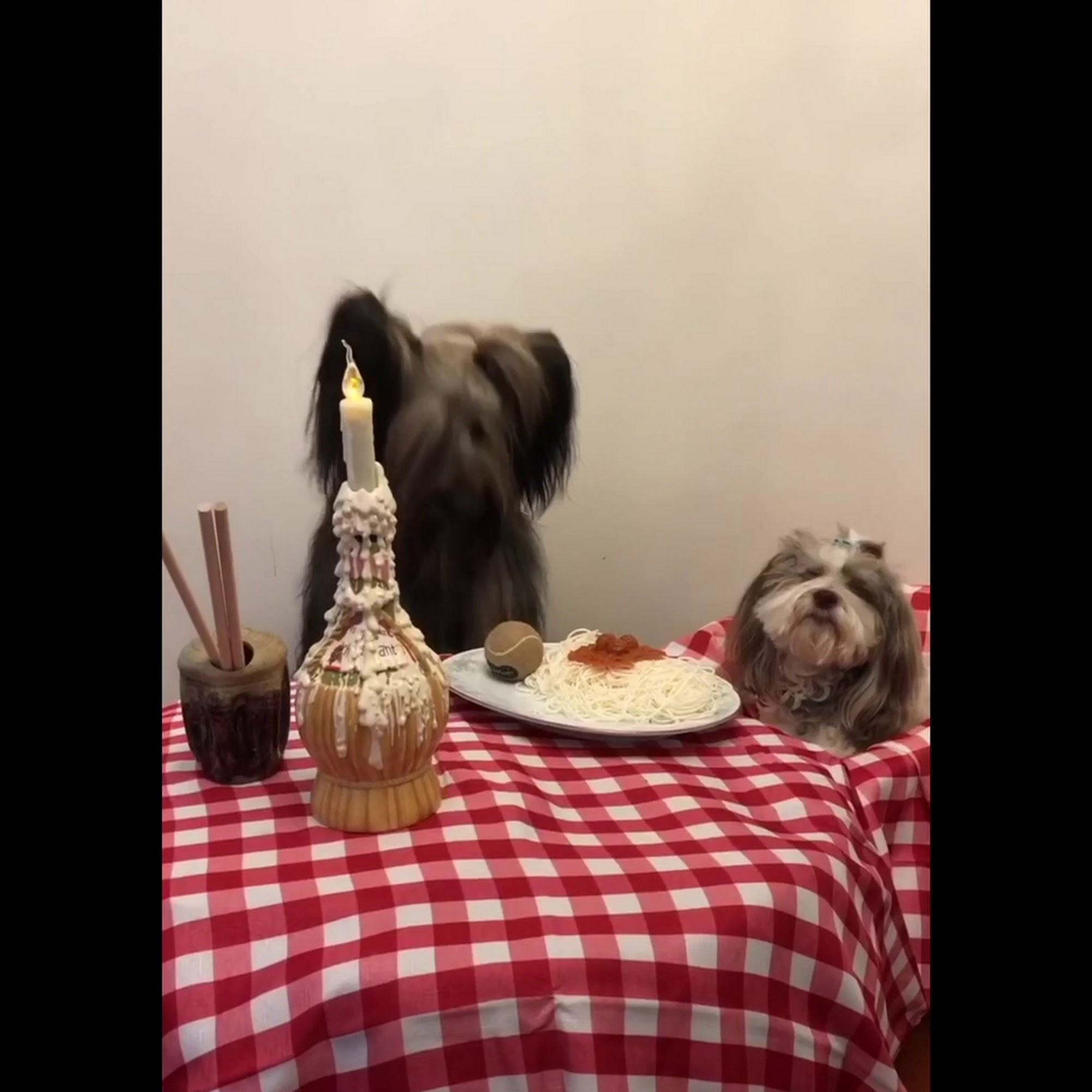 Ironstone Veterinary Hospital Boyertown