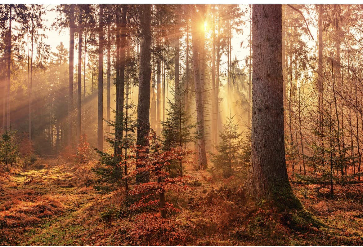 Shipman Heating & Cooling