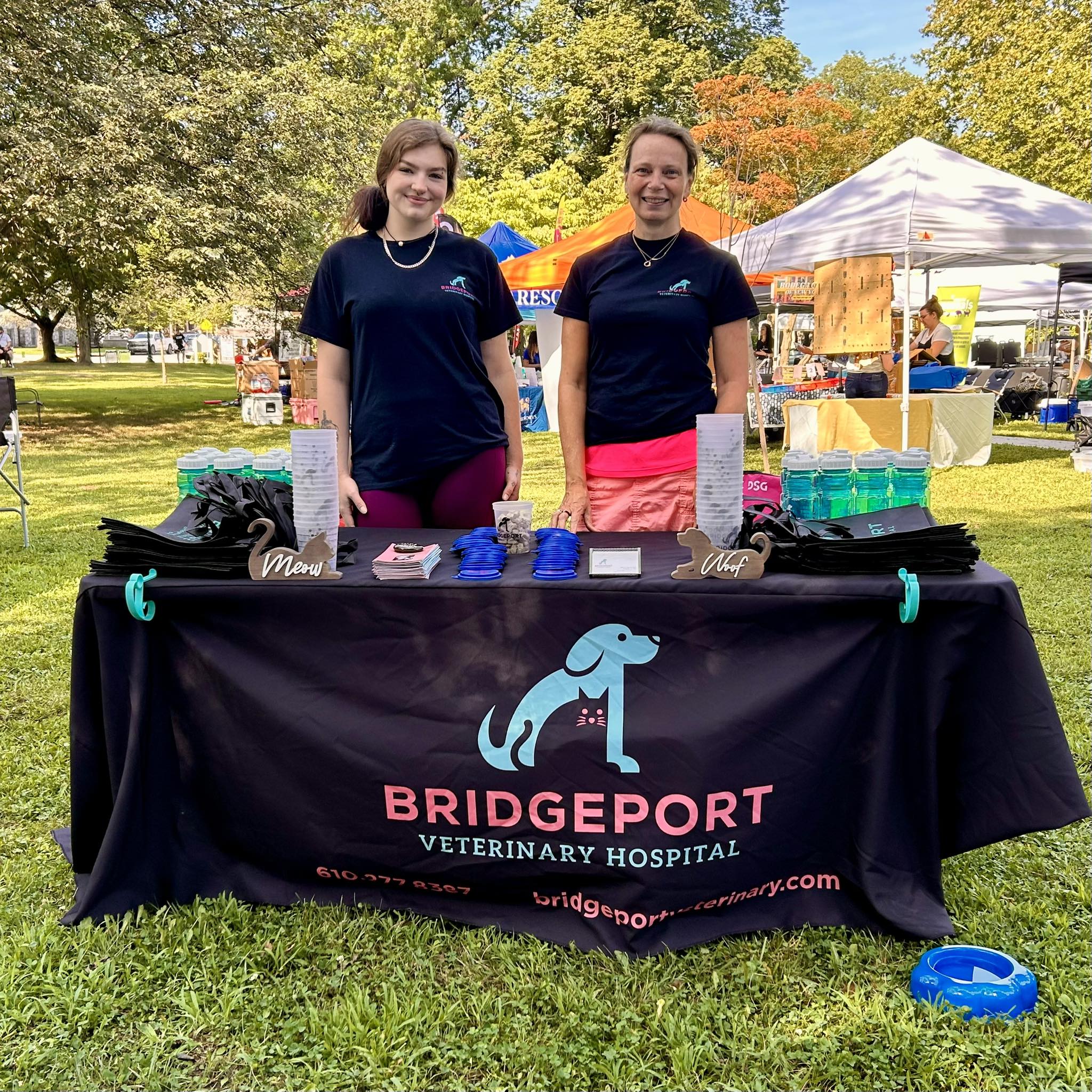 Bridgeport Veterinary Hospital Pet Resort & Spa Bridgeport