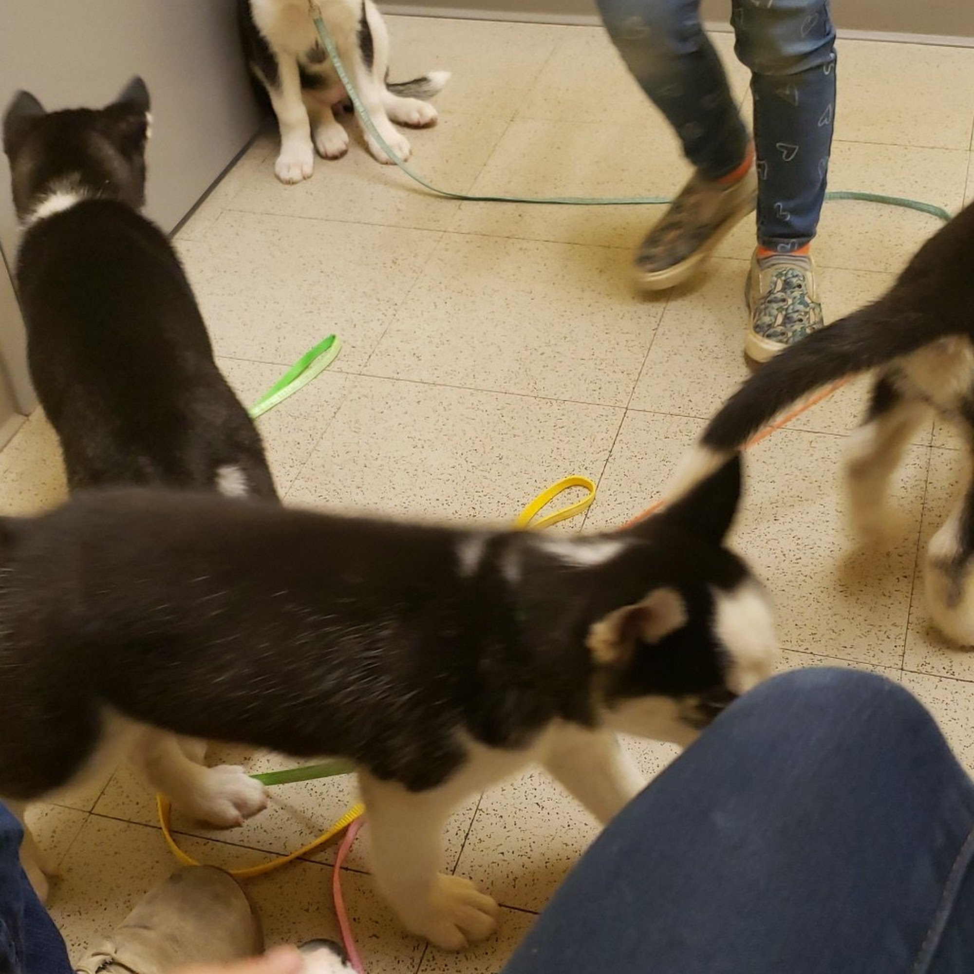 Brookville Veterinary Hospital Brookville