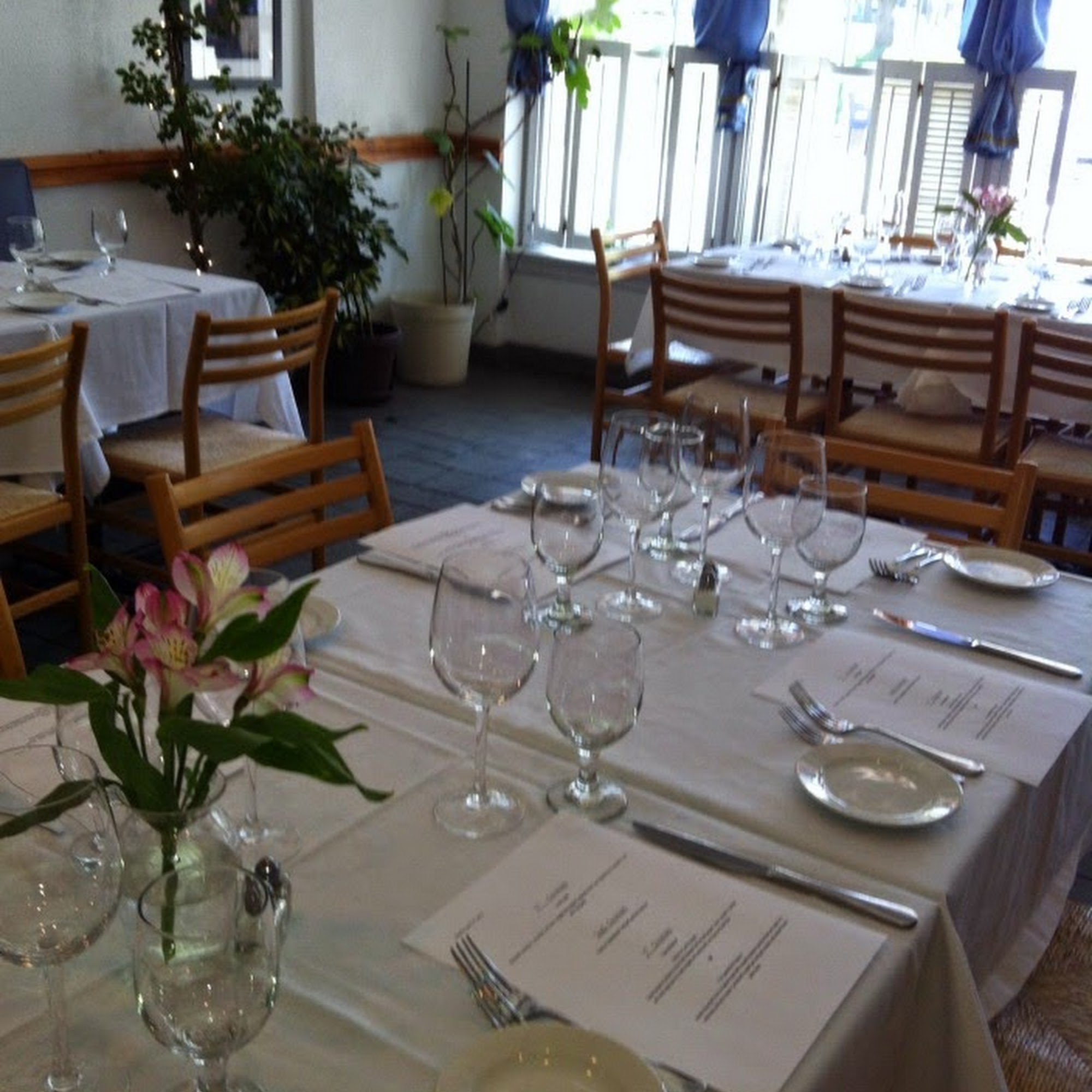 Lourdas Greek Taverna Bryn Mawr