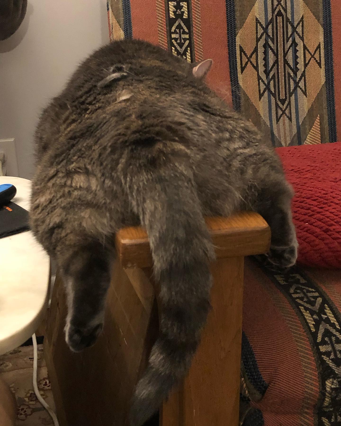 Marlene Burk Acupuncture LLC