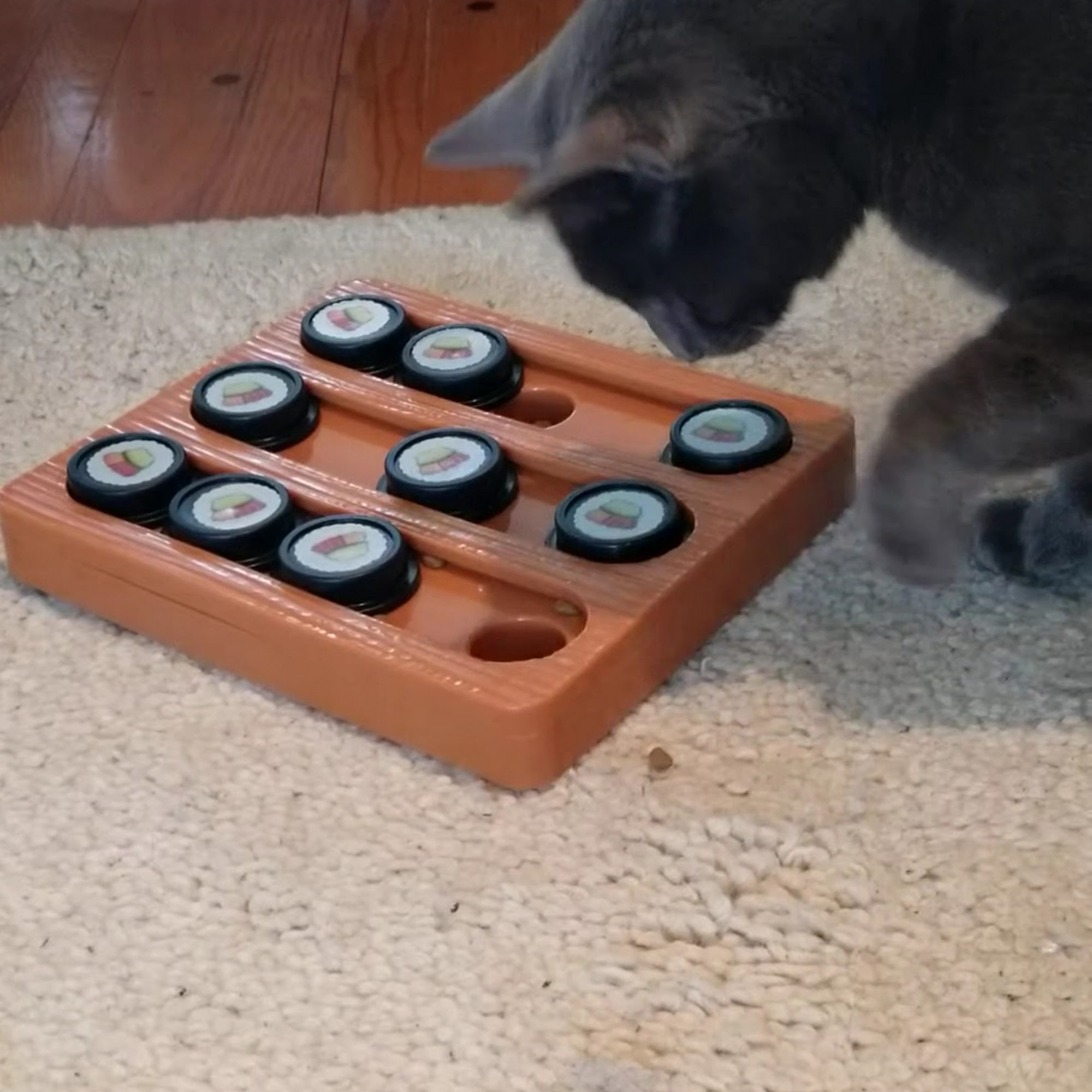 Buckingham Animal Hospital Buckingham