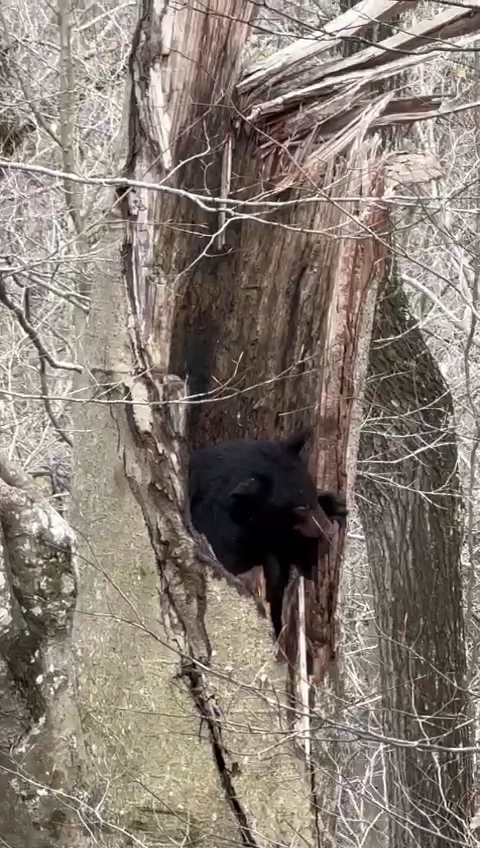 Wagon Wheel Bar Menu