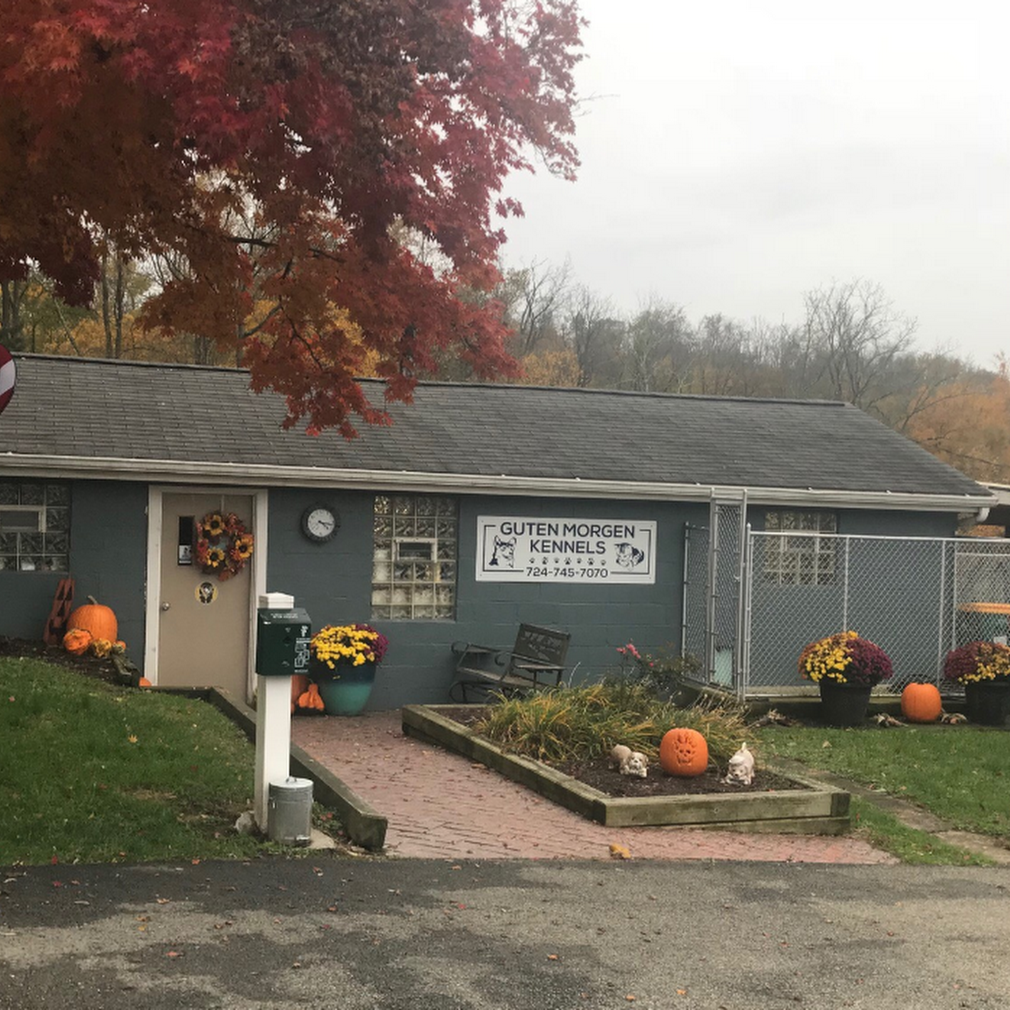 Guten Morgen Kennels Canonsburg