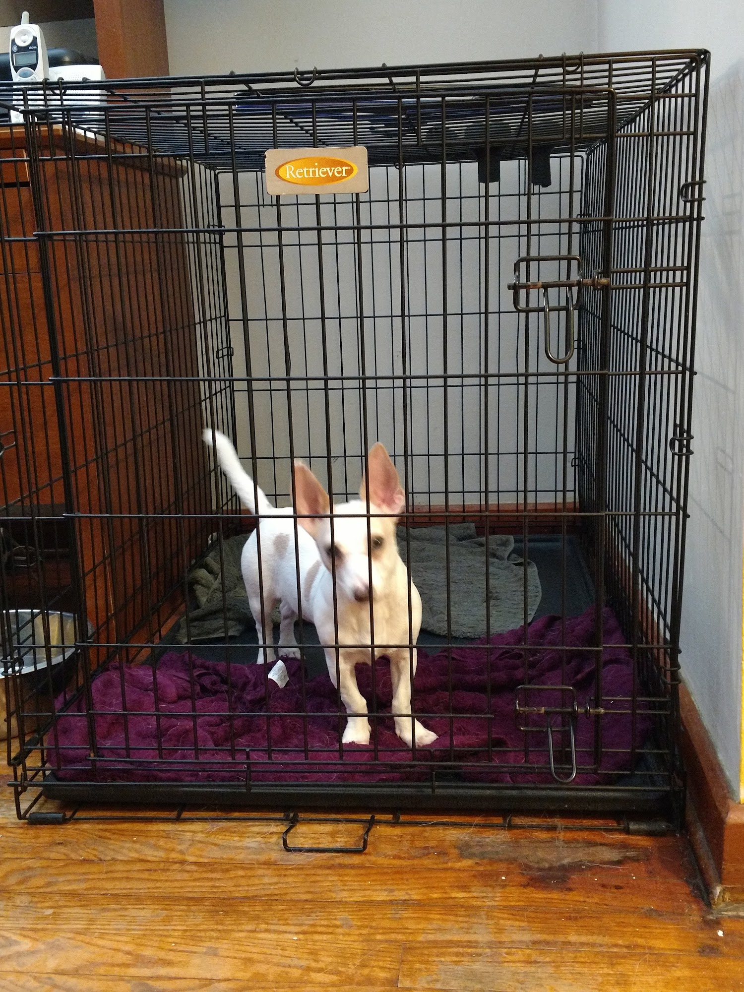 Carbondale Veterinary Hospital Carbondale