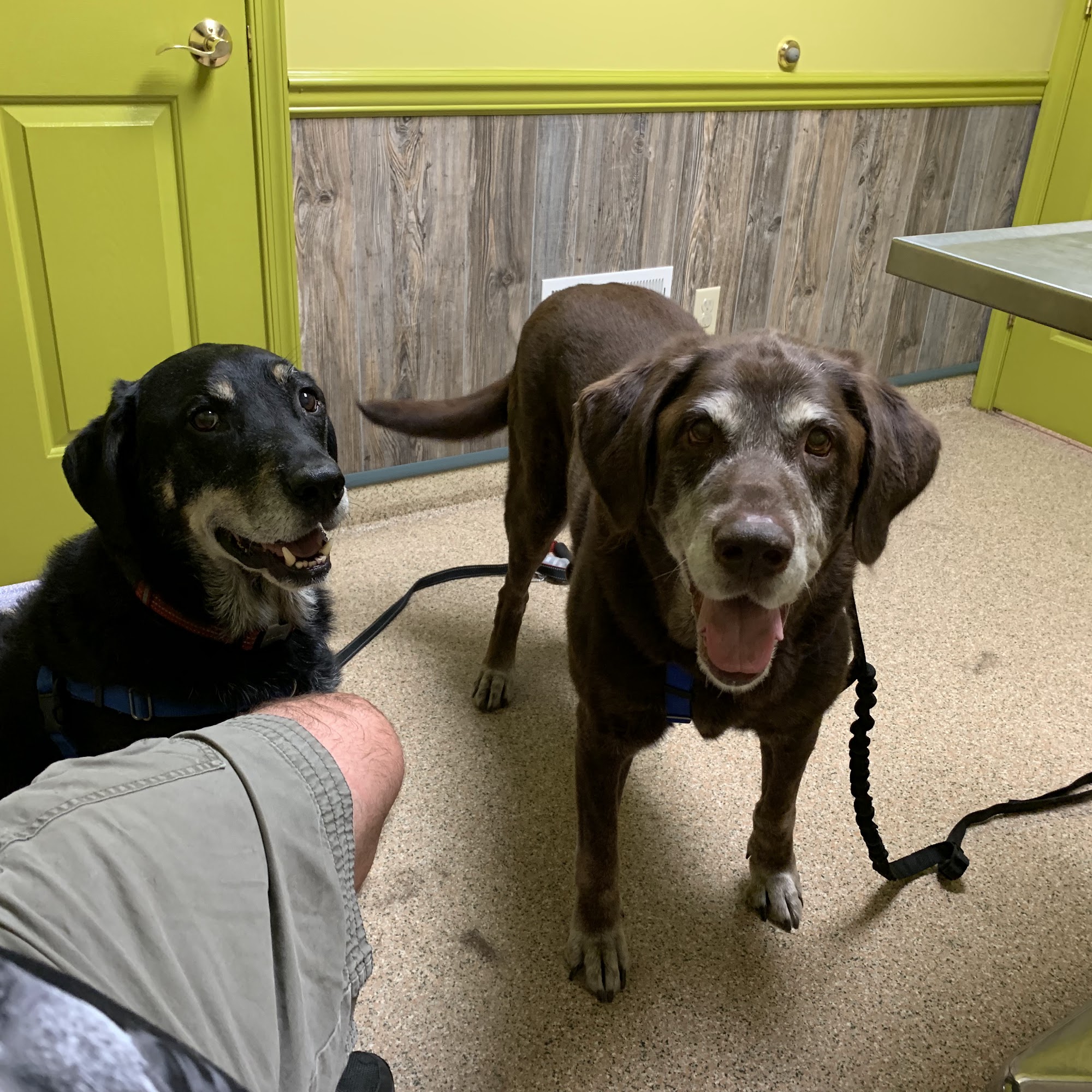 Allen Road Veterinary Clinic Carlisle