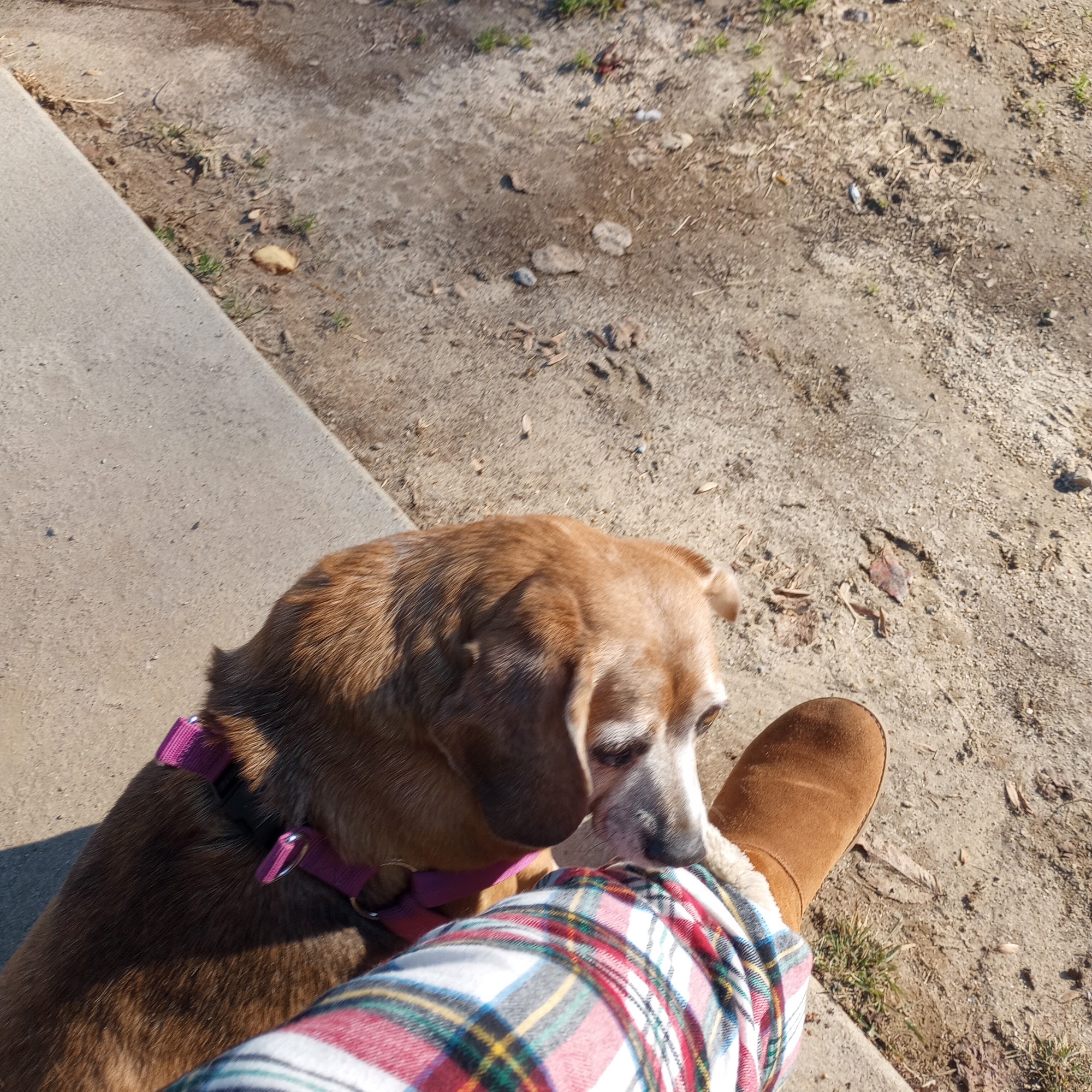 Kindred Spirit Carlisle