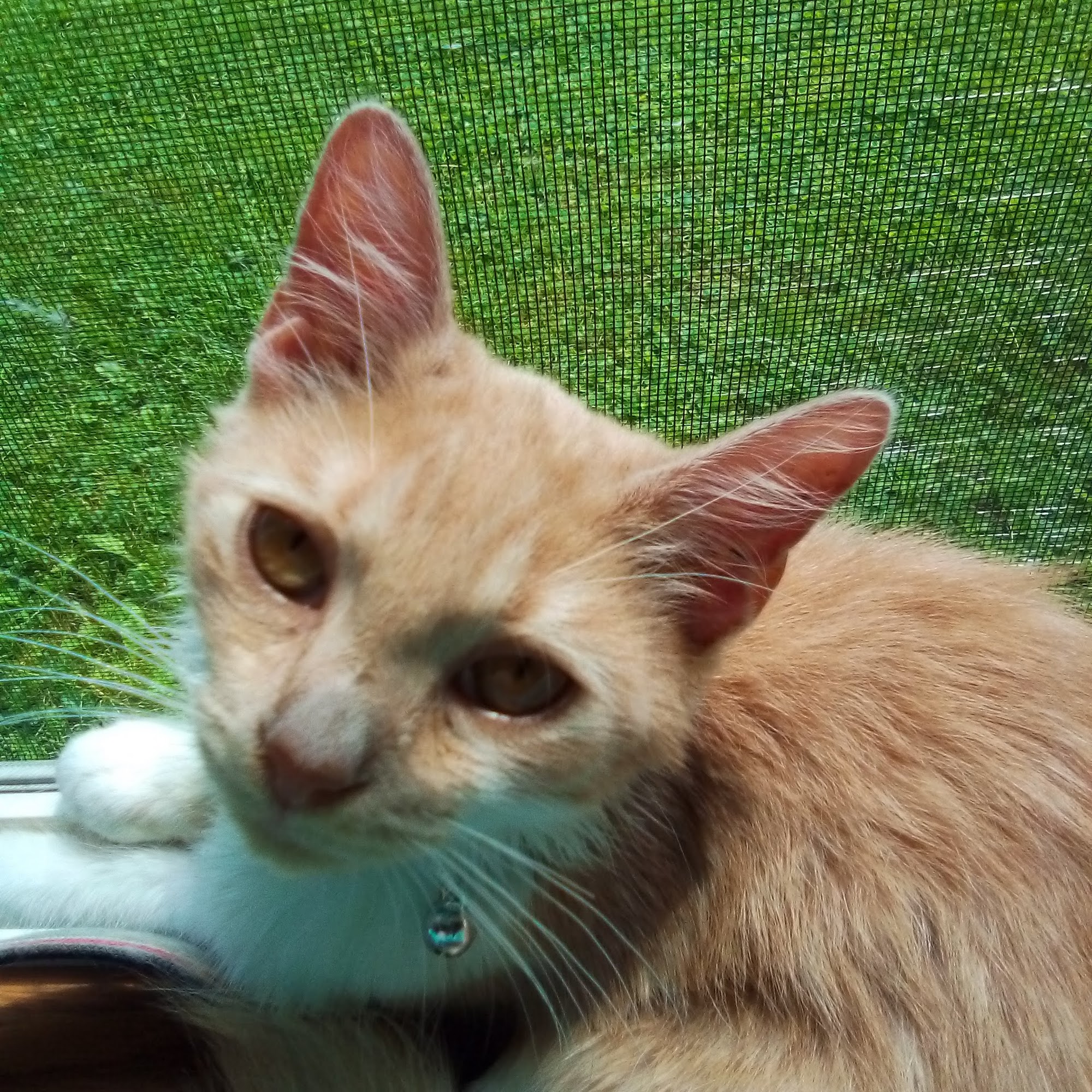 Four Springs Veterinary Clinic Centre Hall