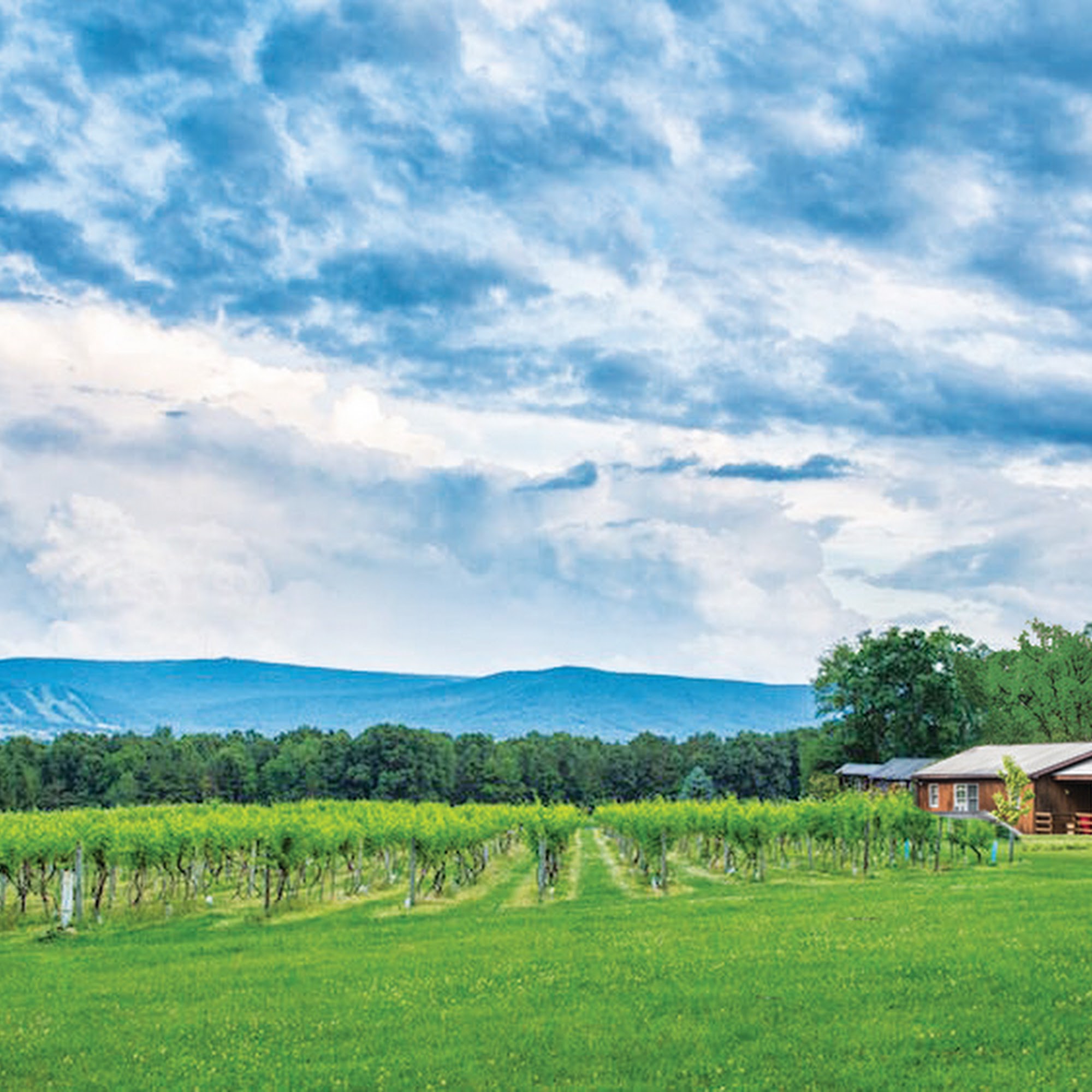 Mount Nittany Vineyard and Winery Centre Hall