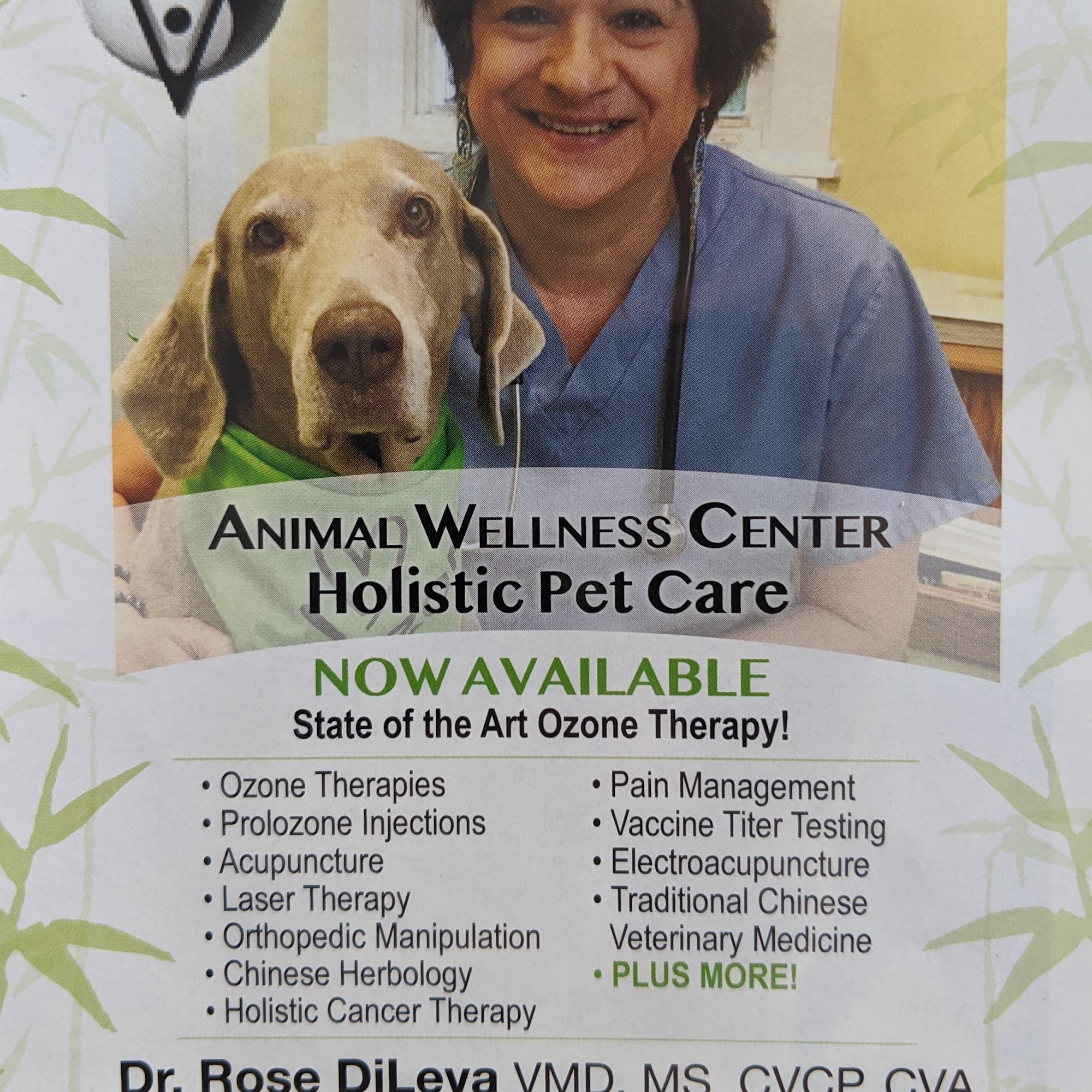 Animal Wellness Center Chadds Ford