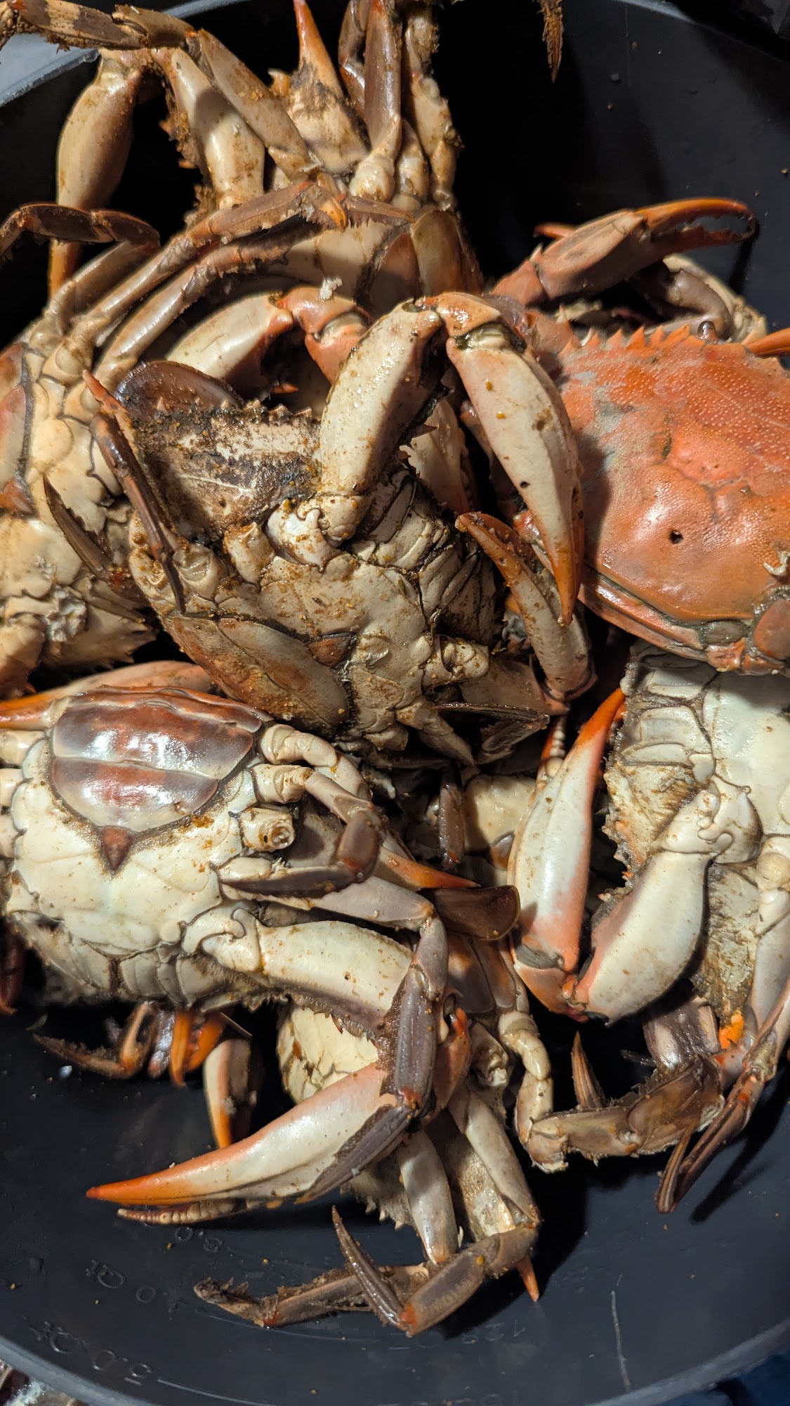 Kim's Crab House Menu