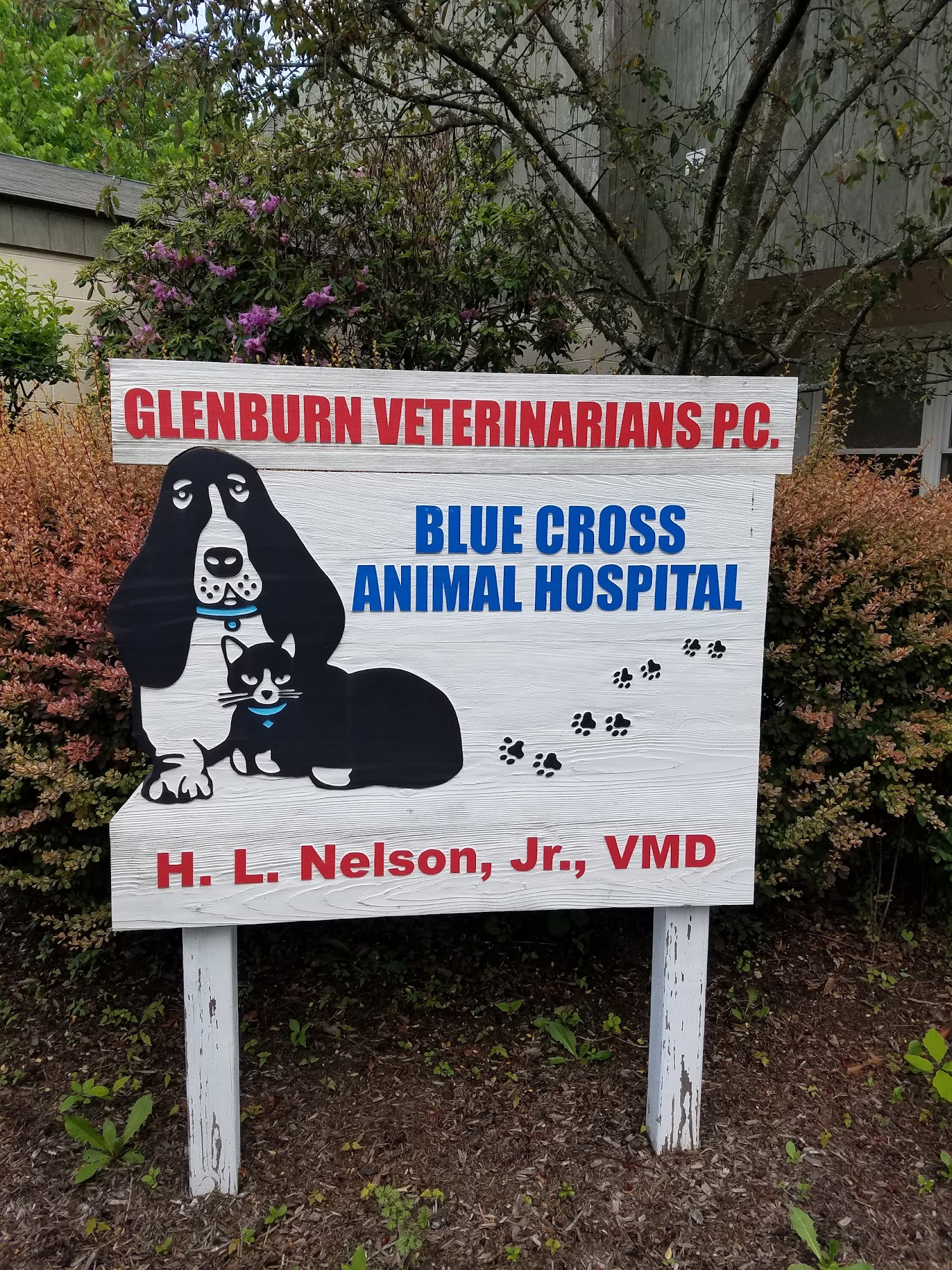 Glenburn Veterinarians, P.C. Clarks Summit