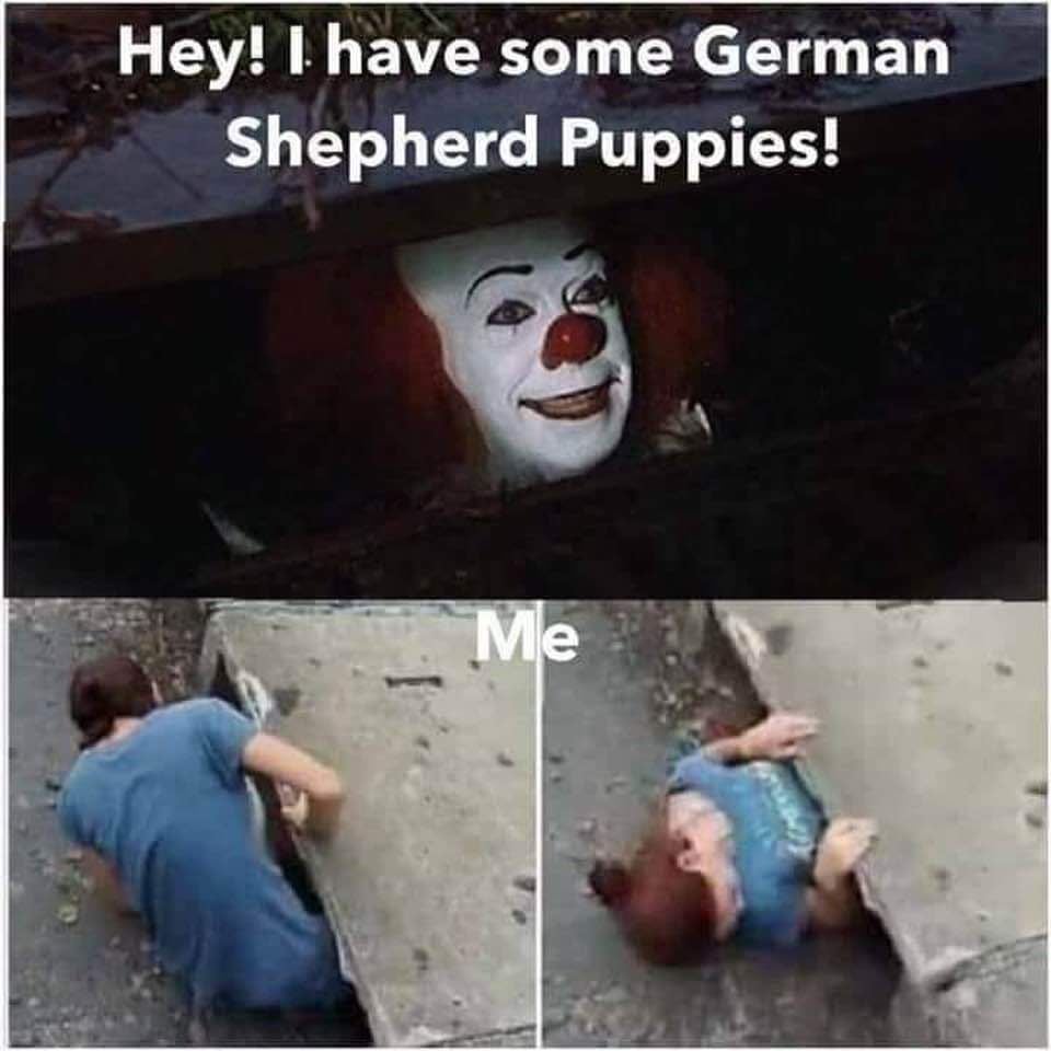 Crosswinds K-9 Claysville