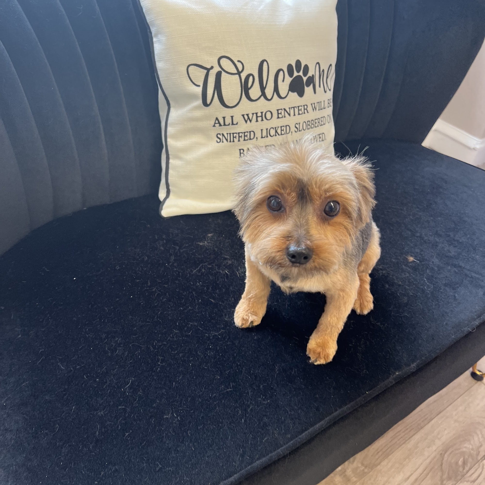 Millies Makeovers Clifton Heights