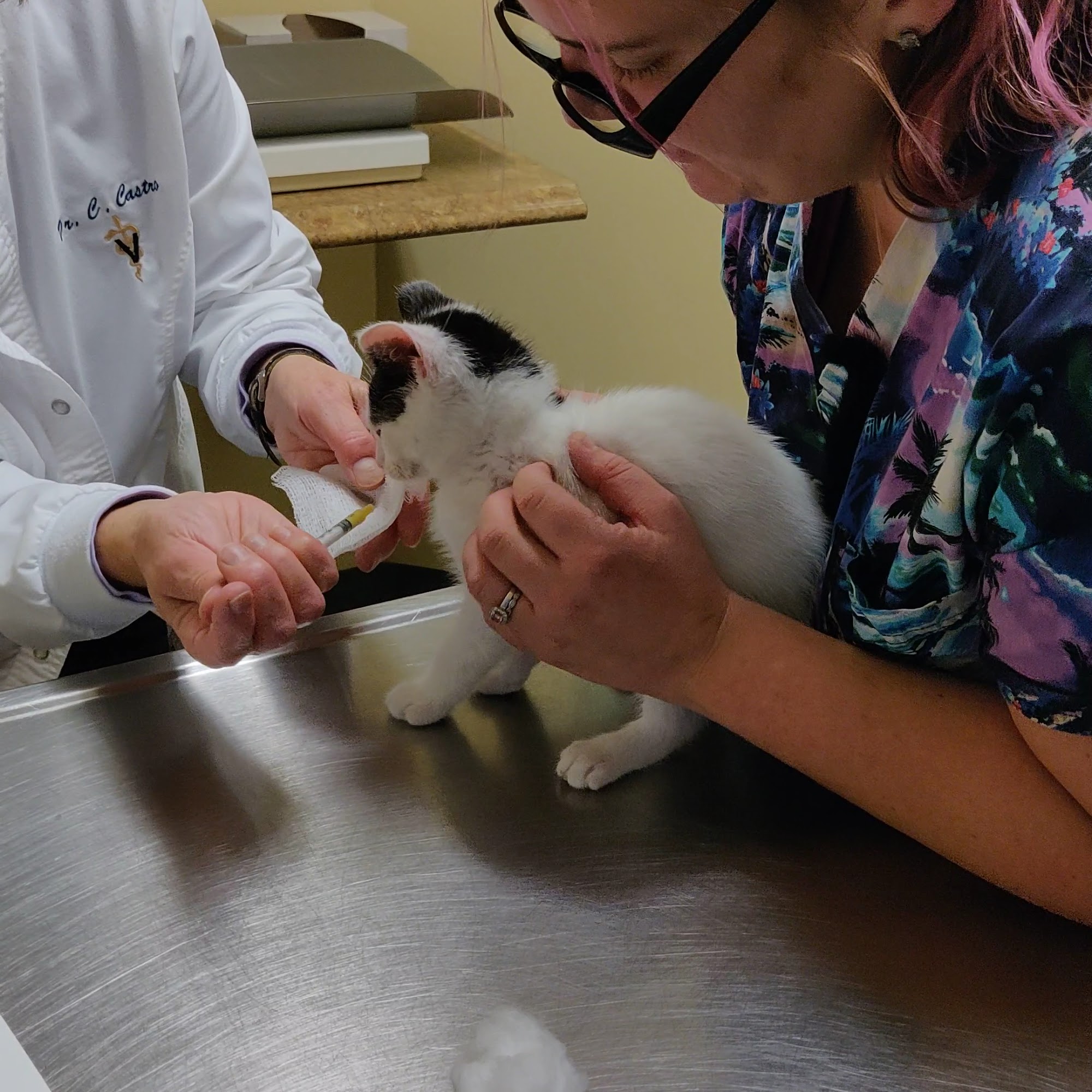 Collegeville Cat Clinic Collegeville