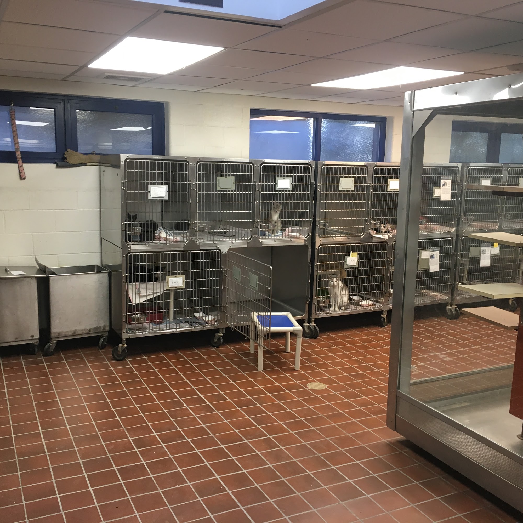 Montgomery County SPCA Conshohocken