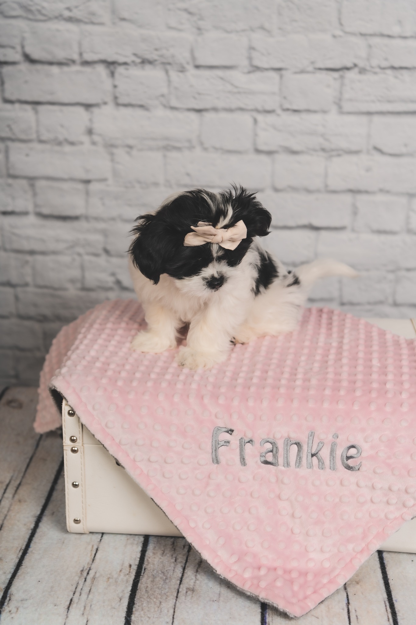 Care free photography