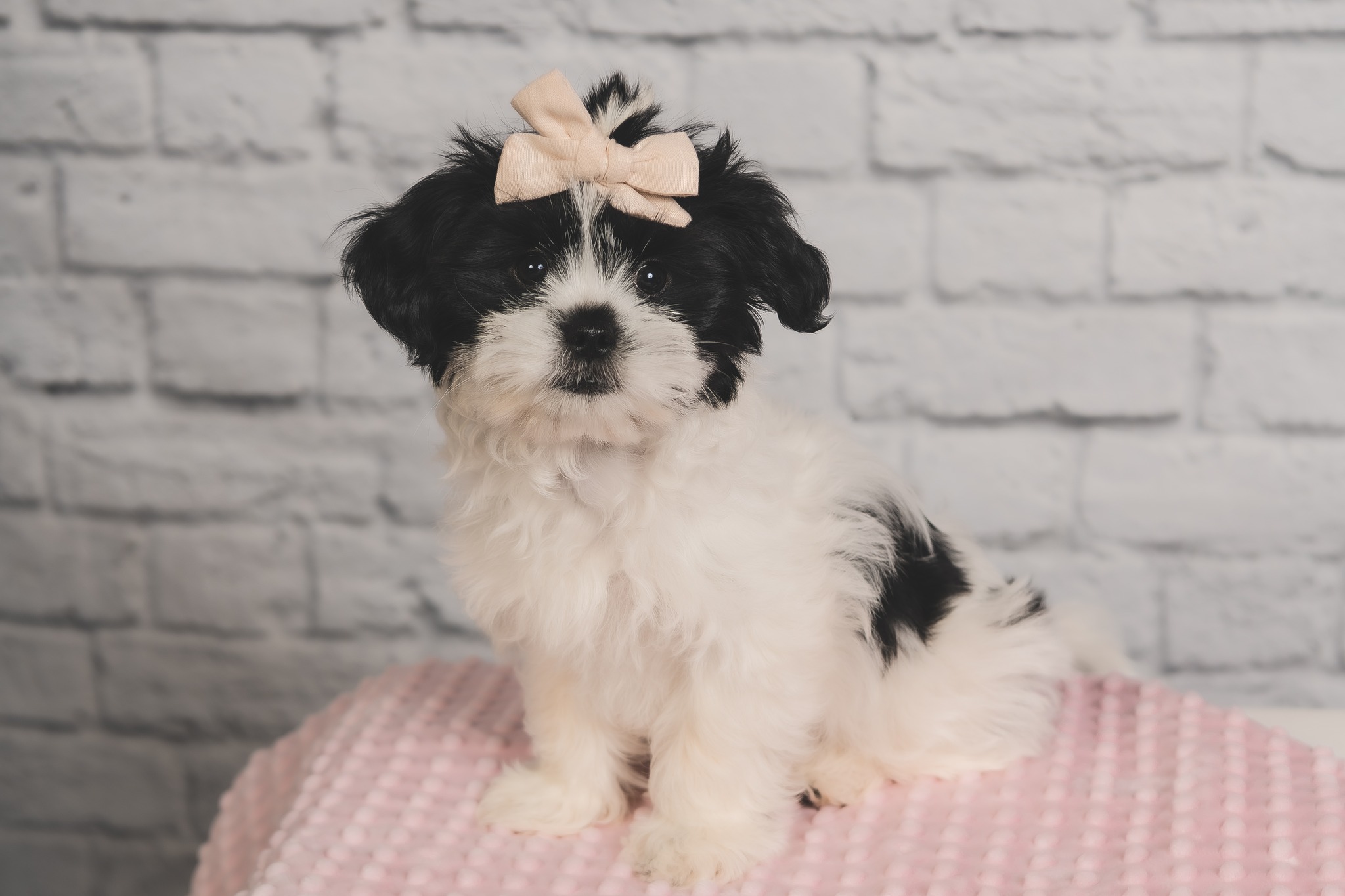 Care free photography