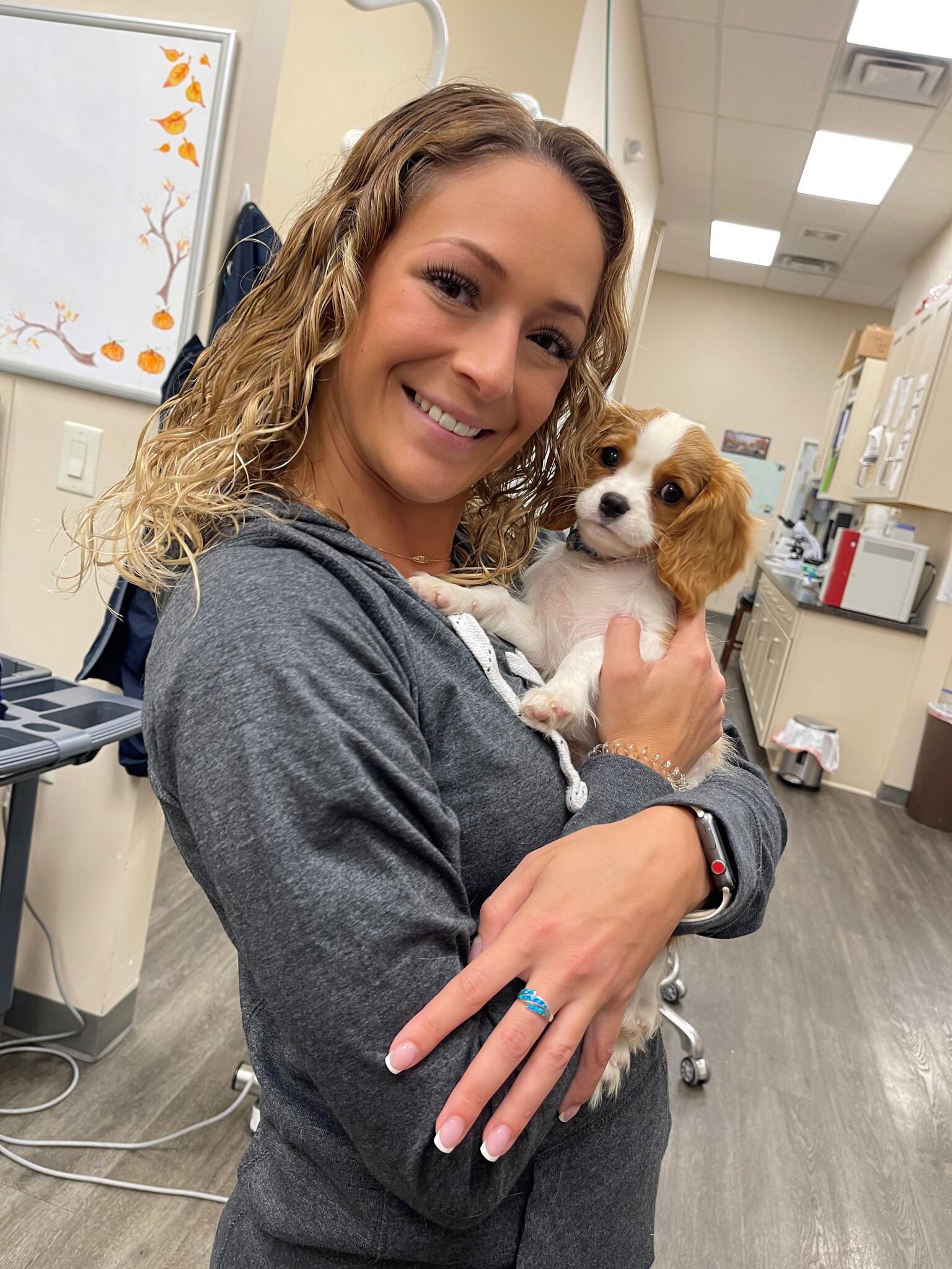 Cranberry Veterinary Hospital Cranberry