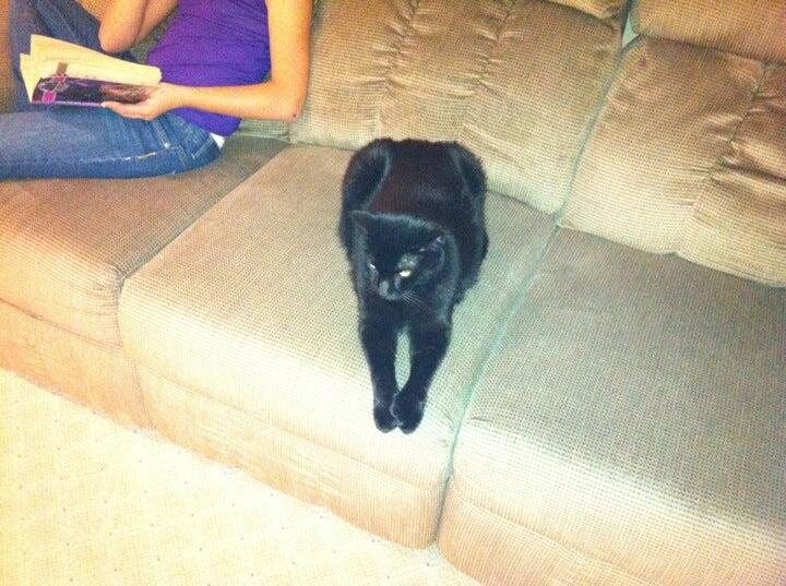 Photo credit: nextdoor