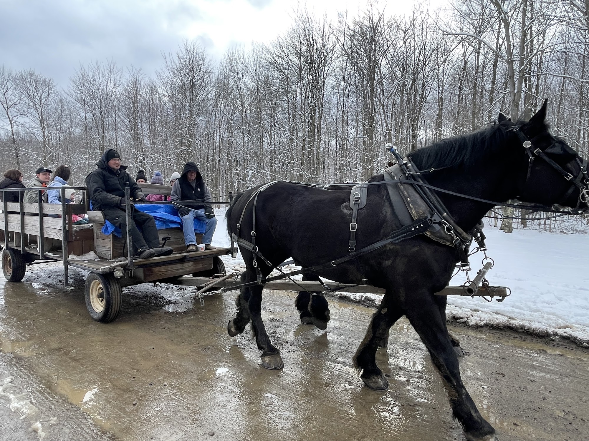 Triple Creek Maple Products Cranesville