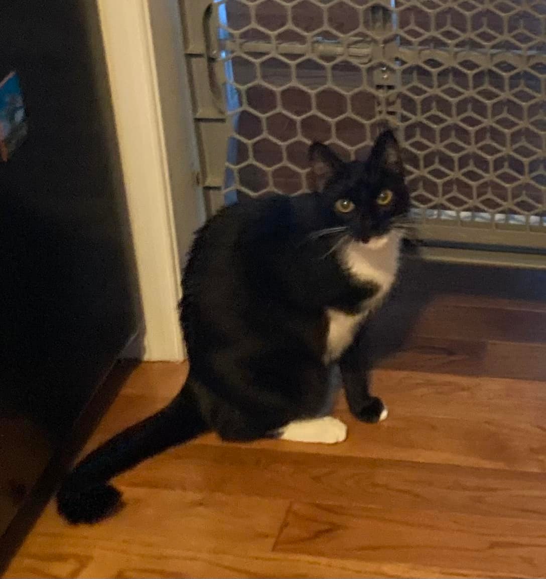 Lancaster County Pet Care