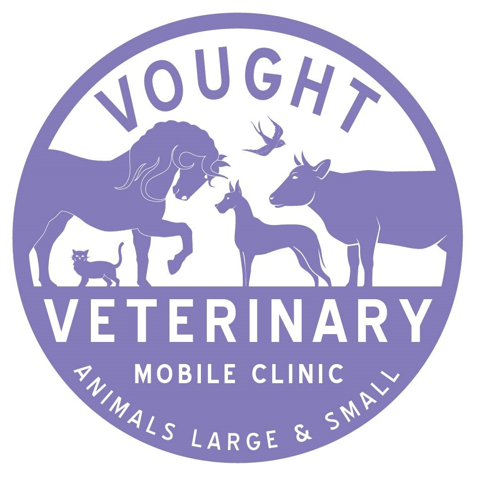 Vought Veterinary Services LLC Derry