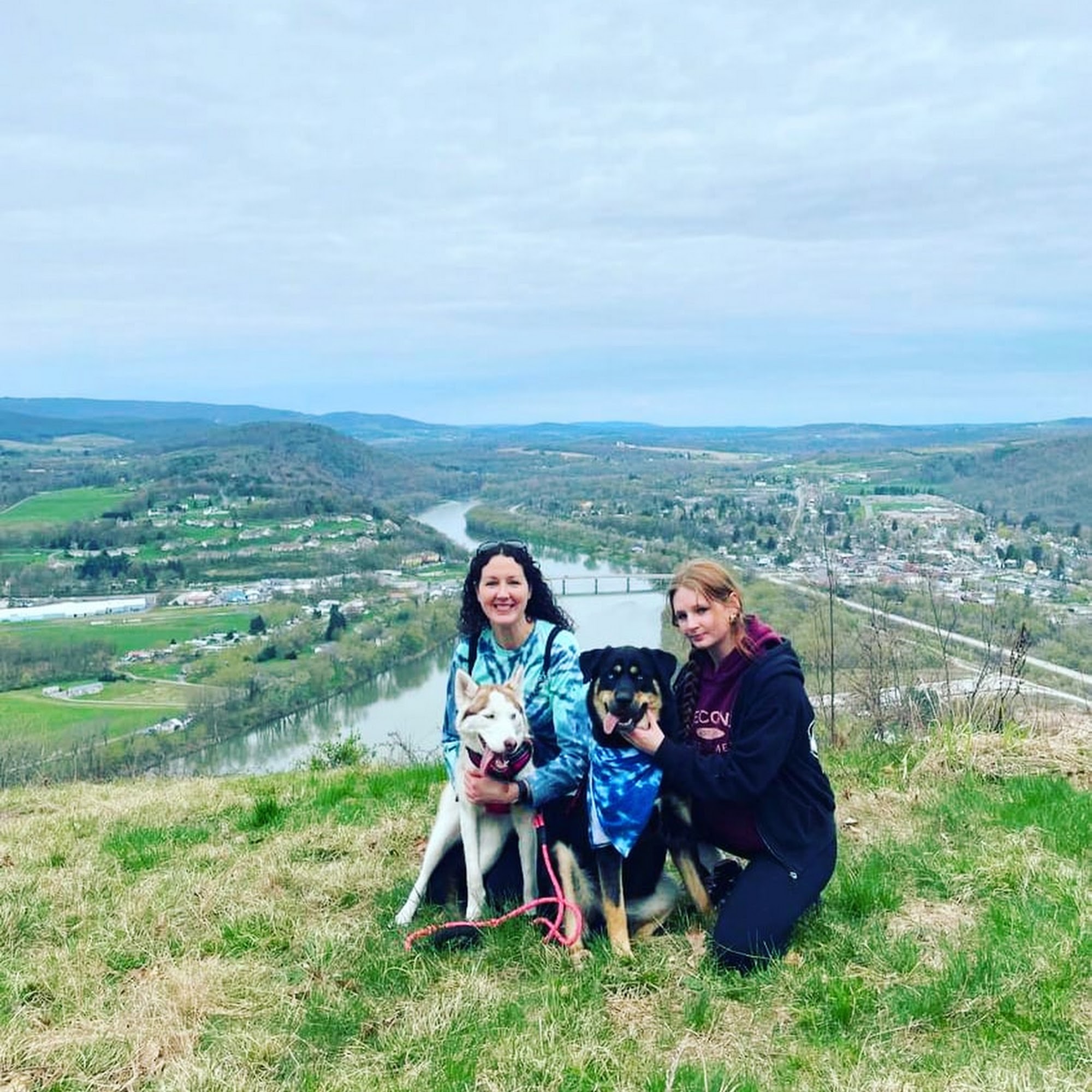 Citywide Animal Clinic Dickson City