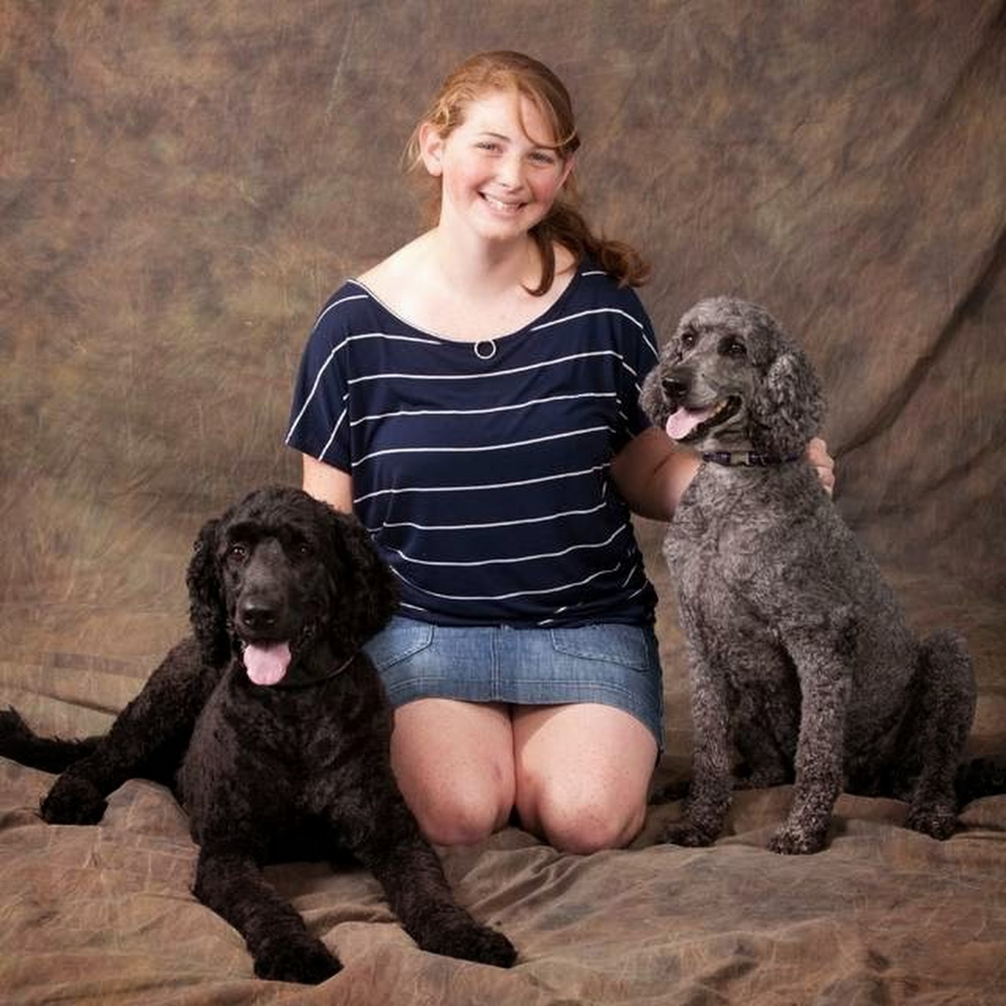 Timberview Veterinary Hospital Dillsburg