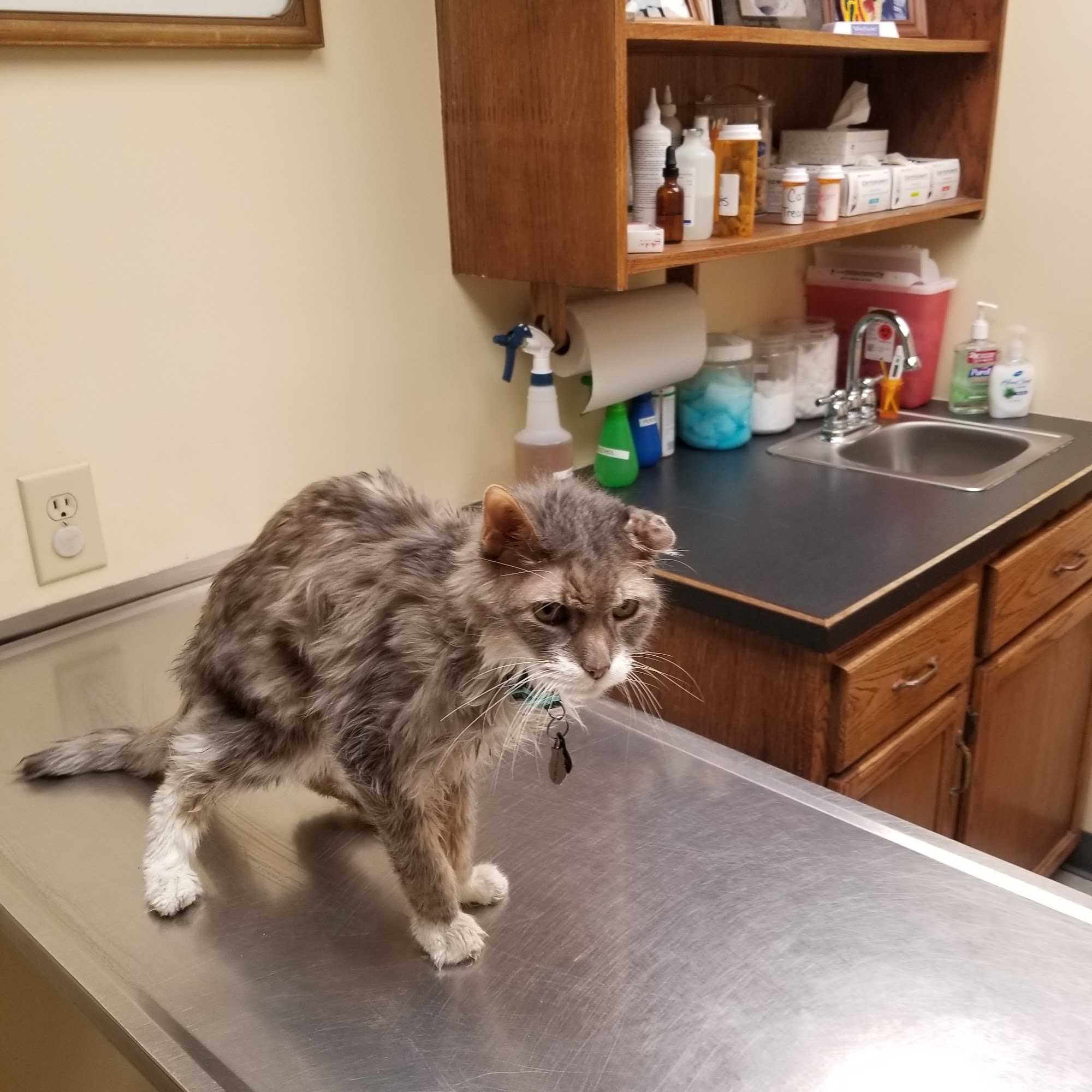 David W. Pike DVM Dover