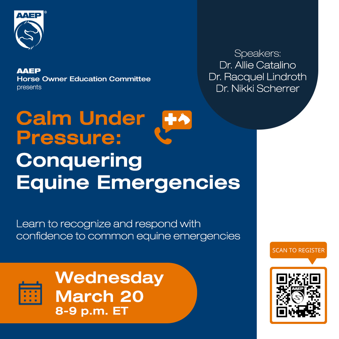 Cumberland Valley Equine Service Dover