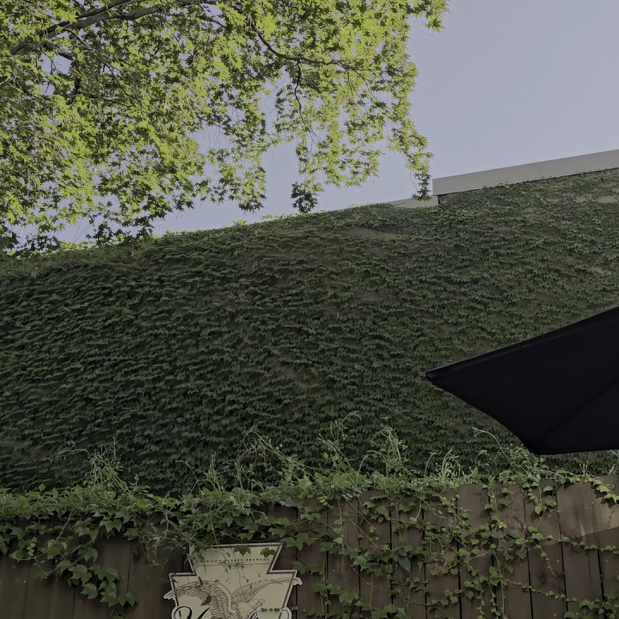 Penn Taproom Doylestown