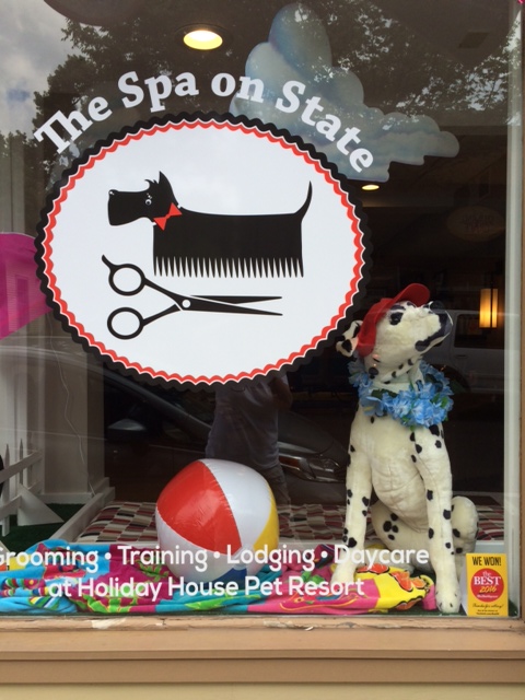 The Spa on State Pet Grooming Doylestown