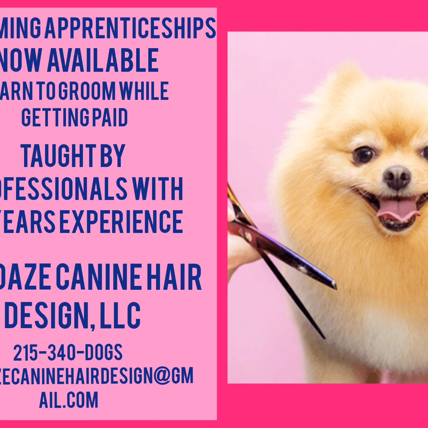 Dog Daze Canine Hair Design Doylestown