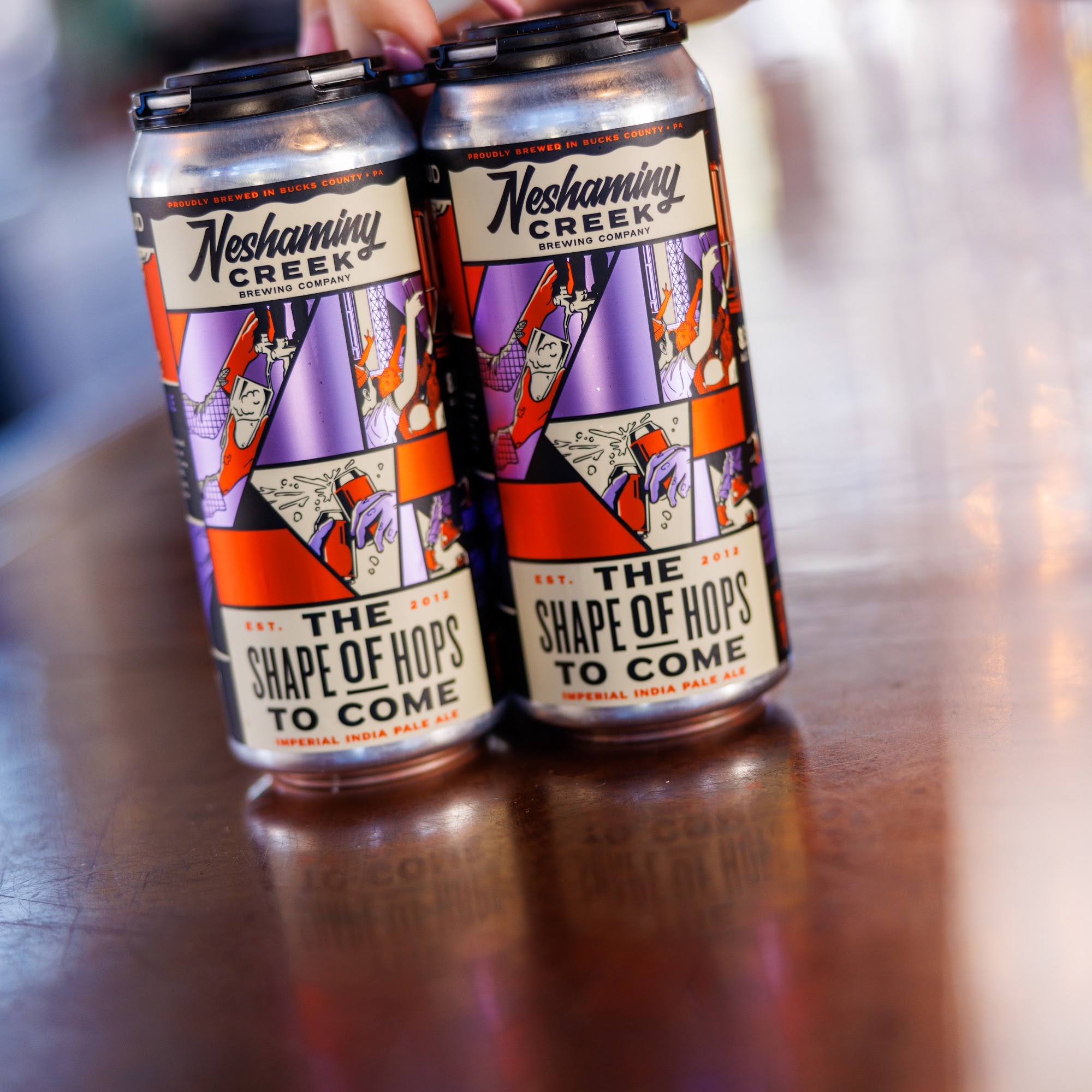 Neshaminy Creek Brewing Co. - Dublin Dublin