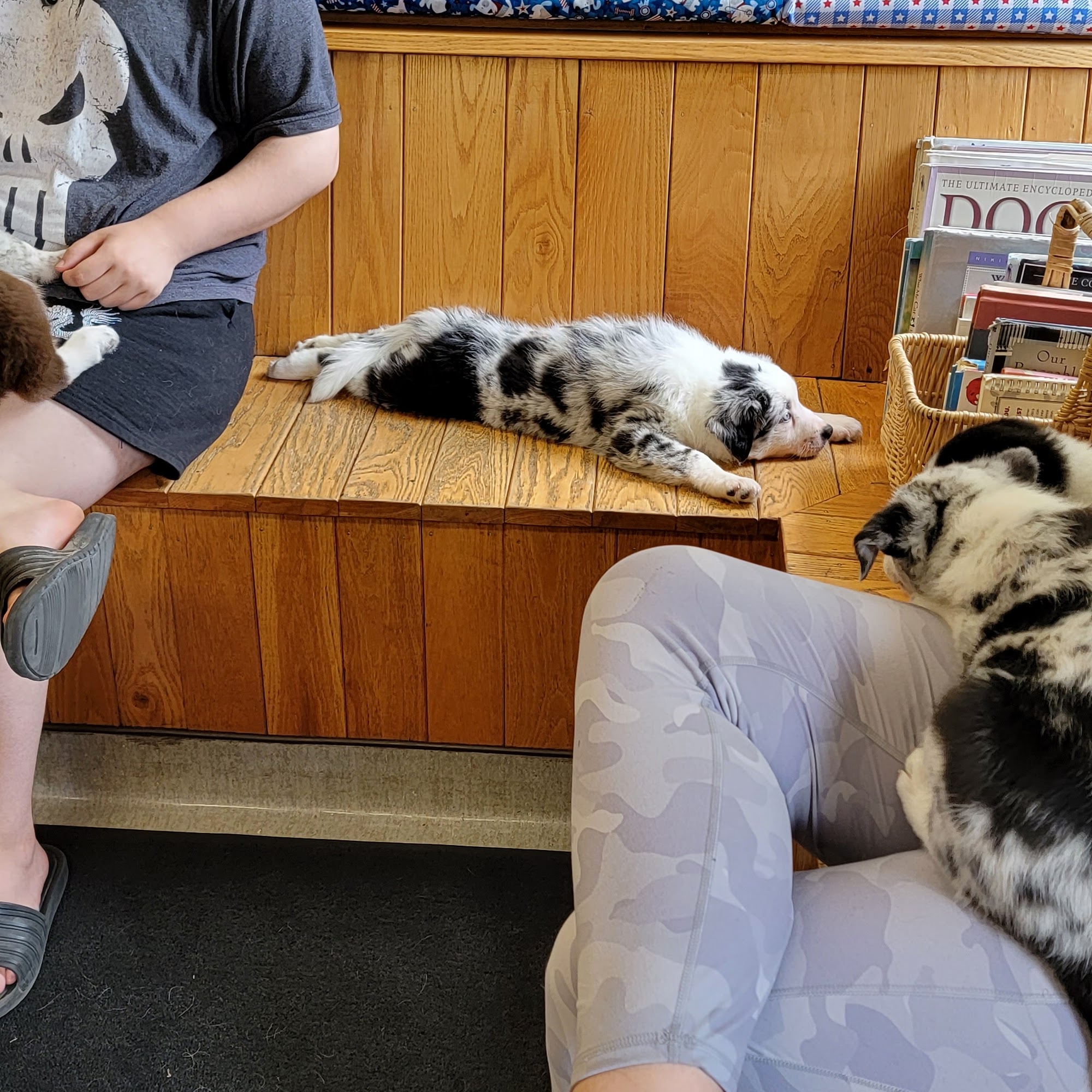 DuBois Veterinary Clinic DuBois