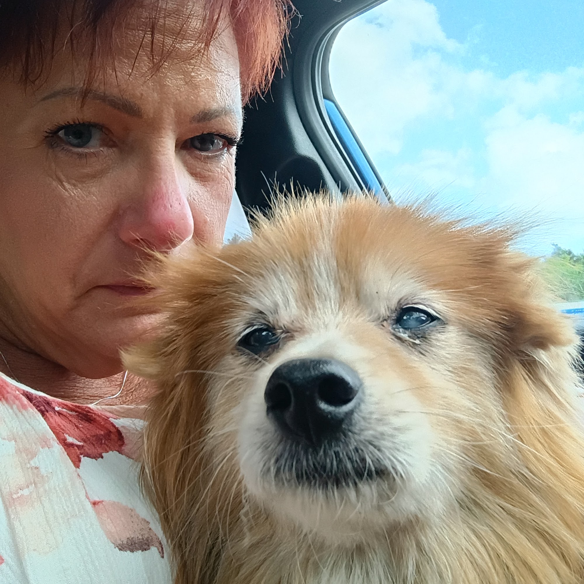 Animal Health Services DuBois