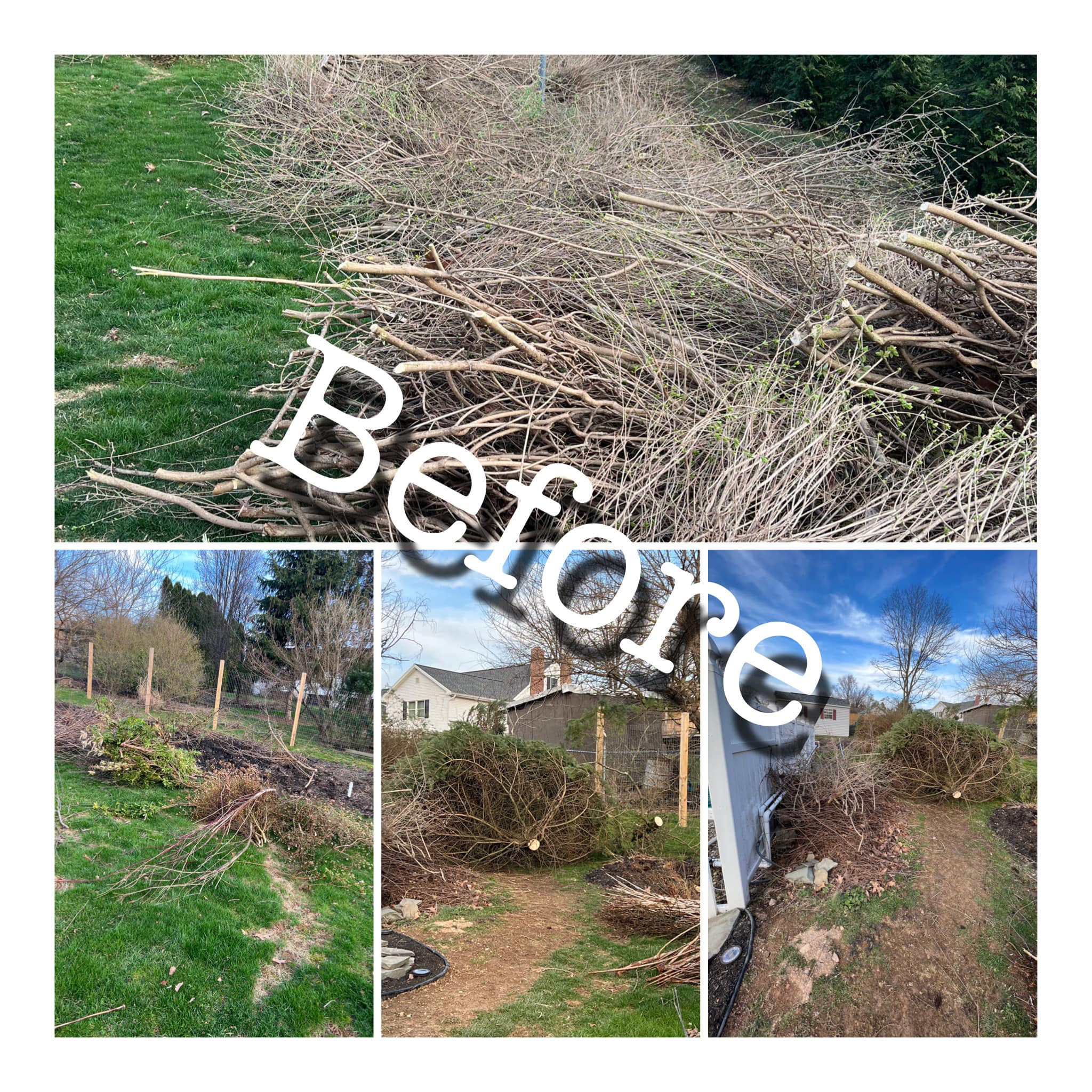 HCS Property Preservation LLC