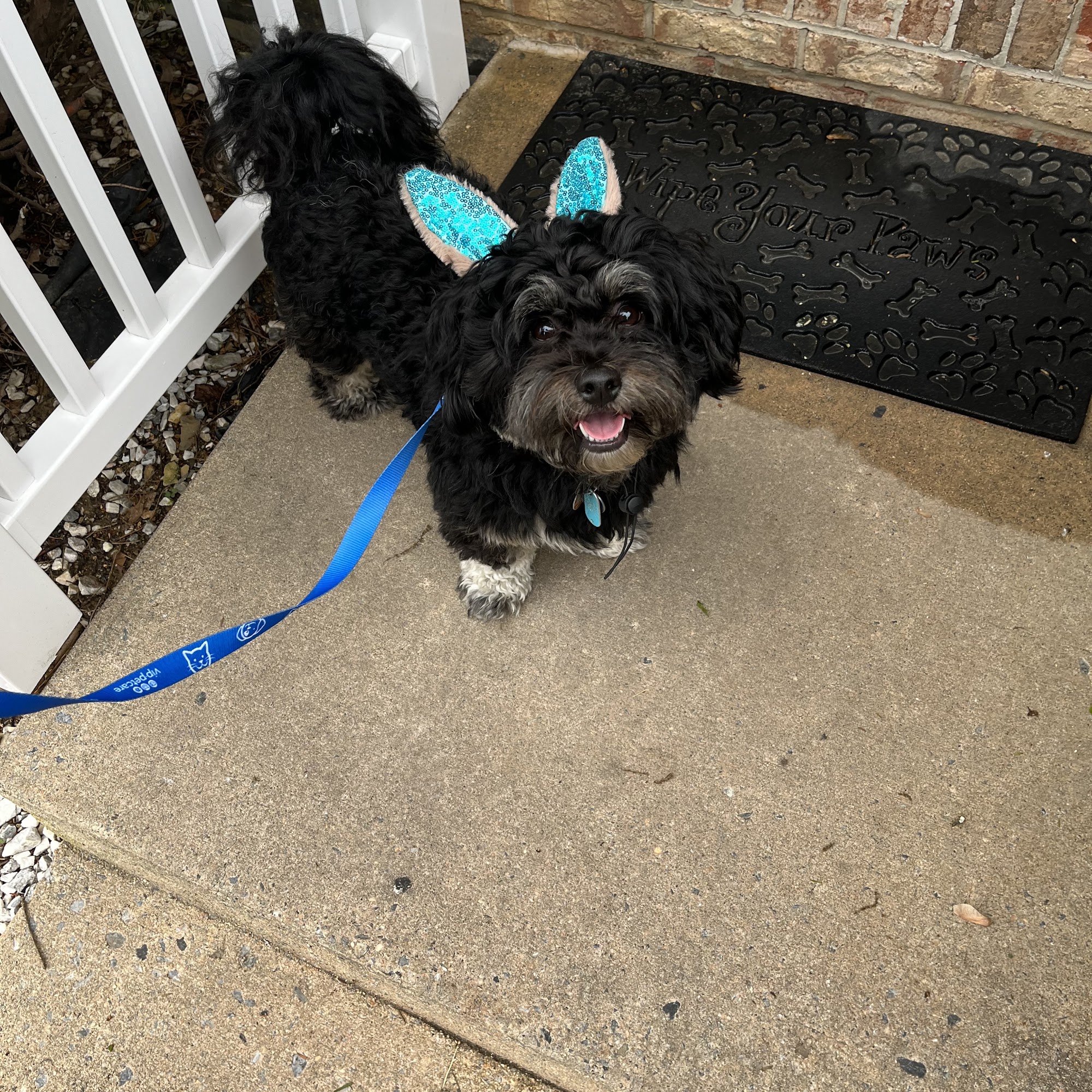 Awad Animal Hospital Elizabethtown