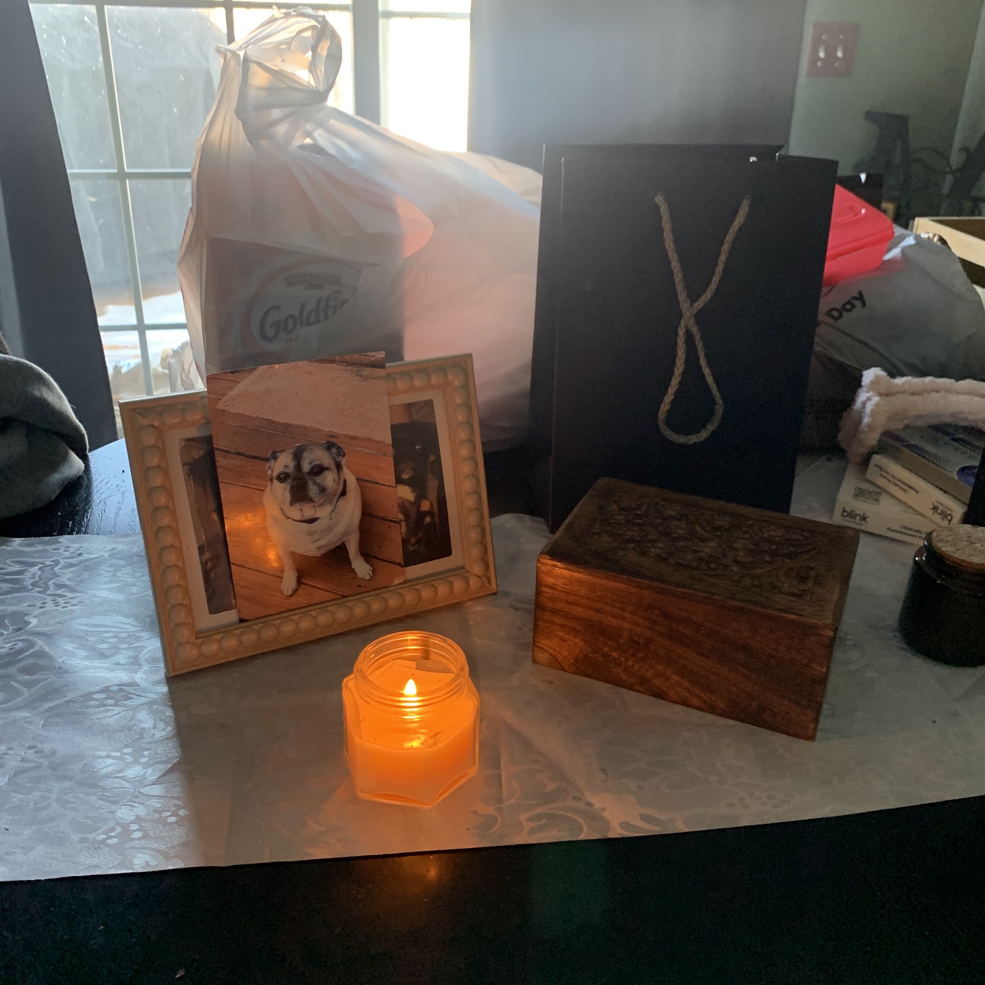 Elizabethtown Animal Hospital Elizabethtown