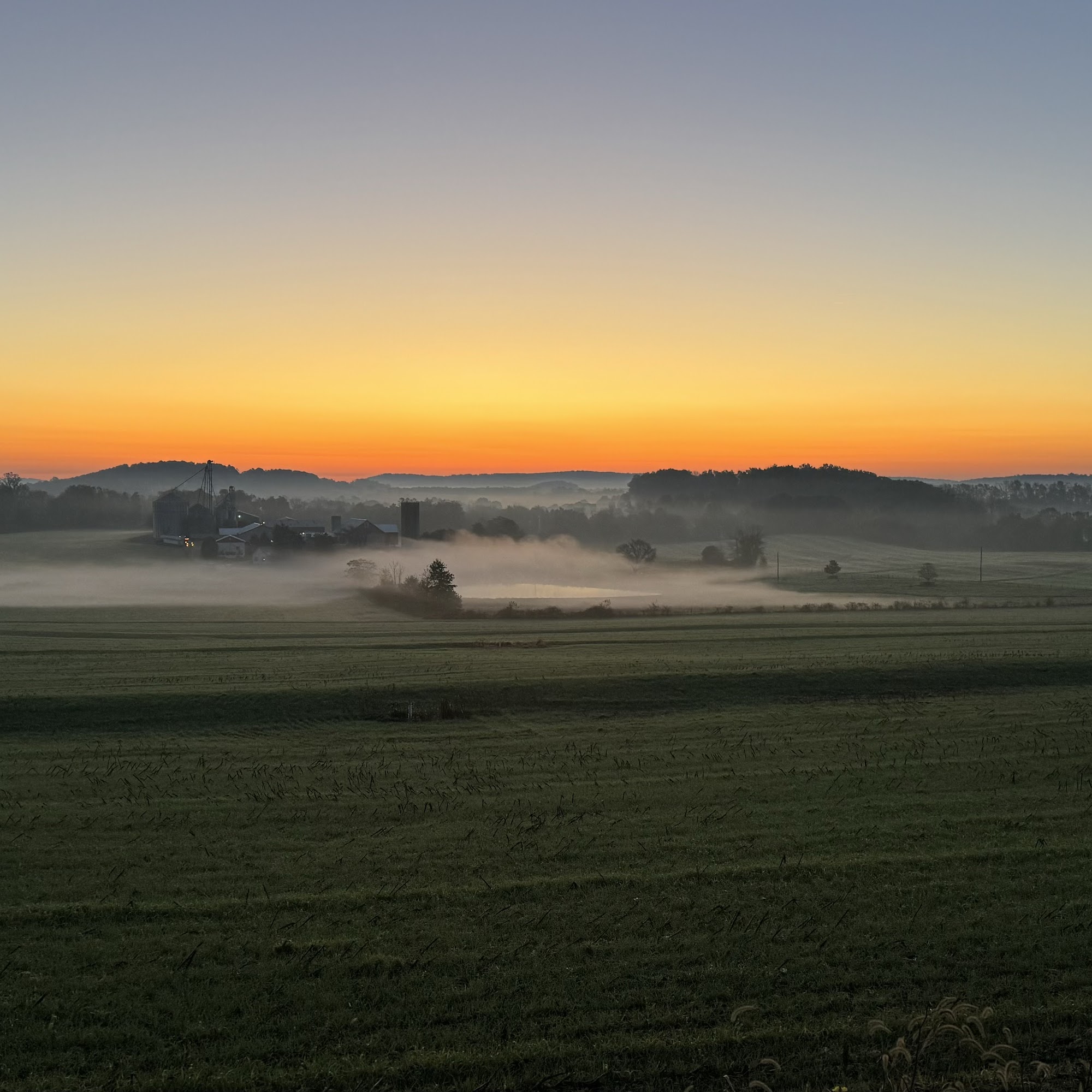 Beam's Woodshaving & Farming Elverson