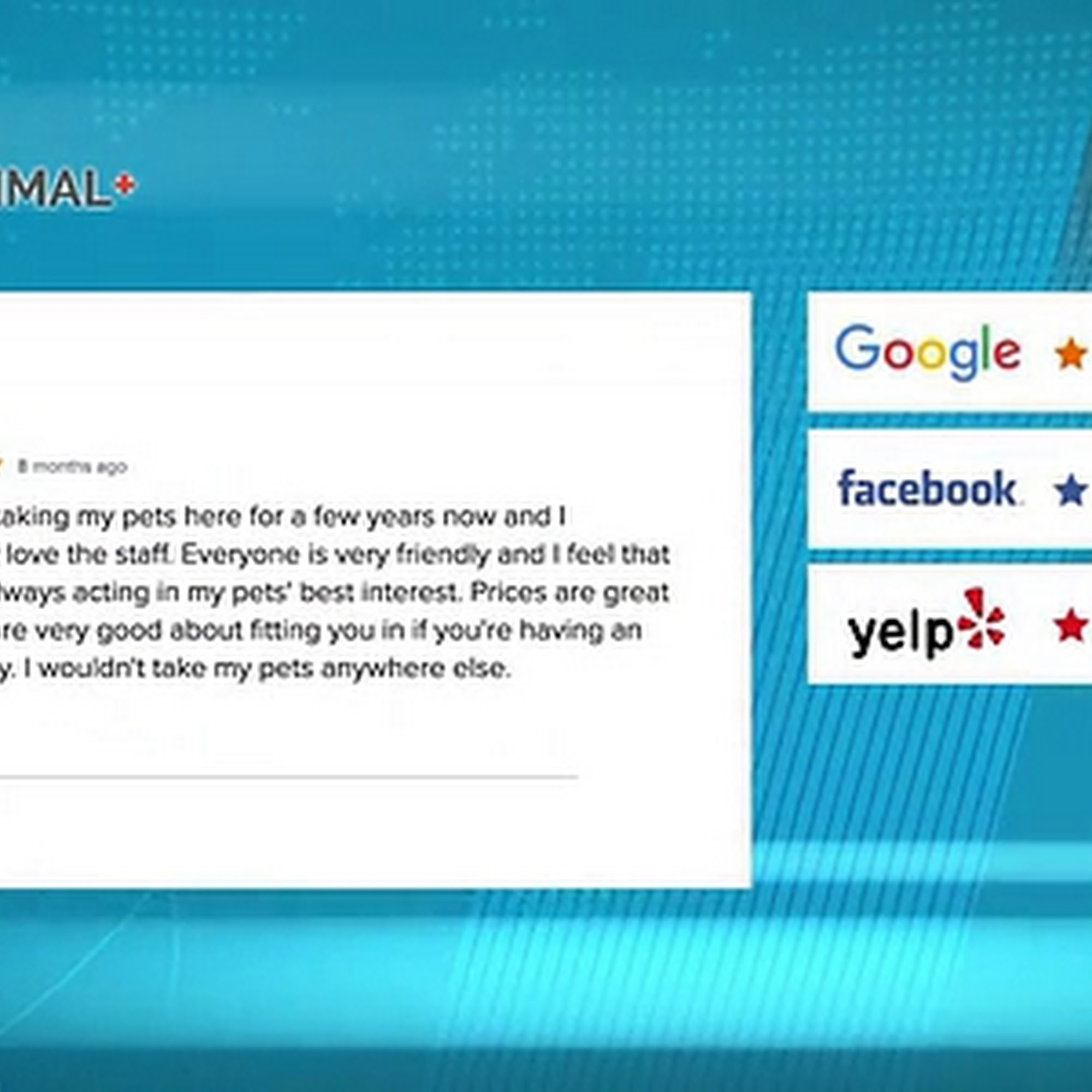 Emmaus Animal Hospital Emmaus